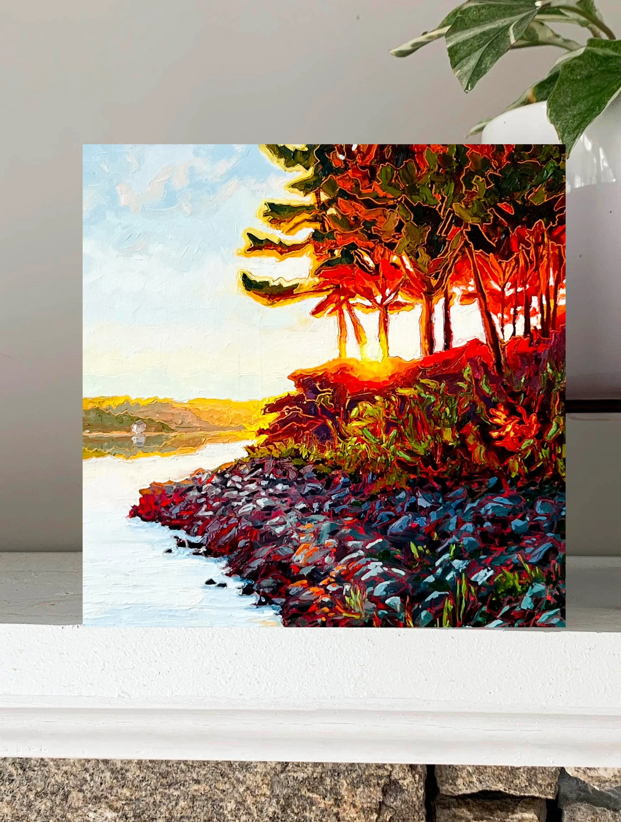 Where the Light Touched Last.jpg