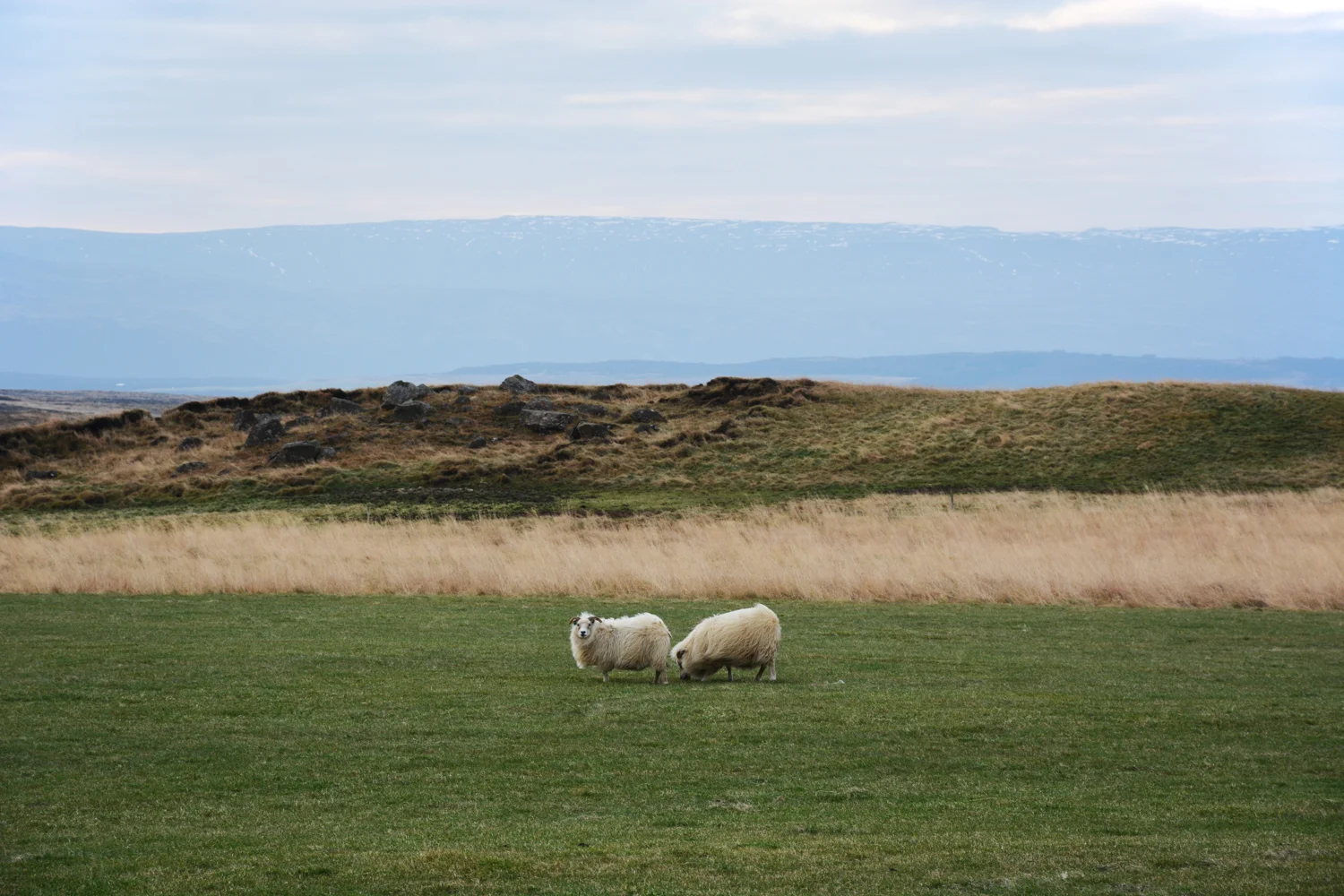 IS_20141016_0215.jpg