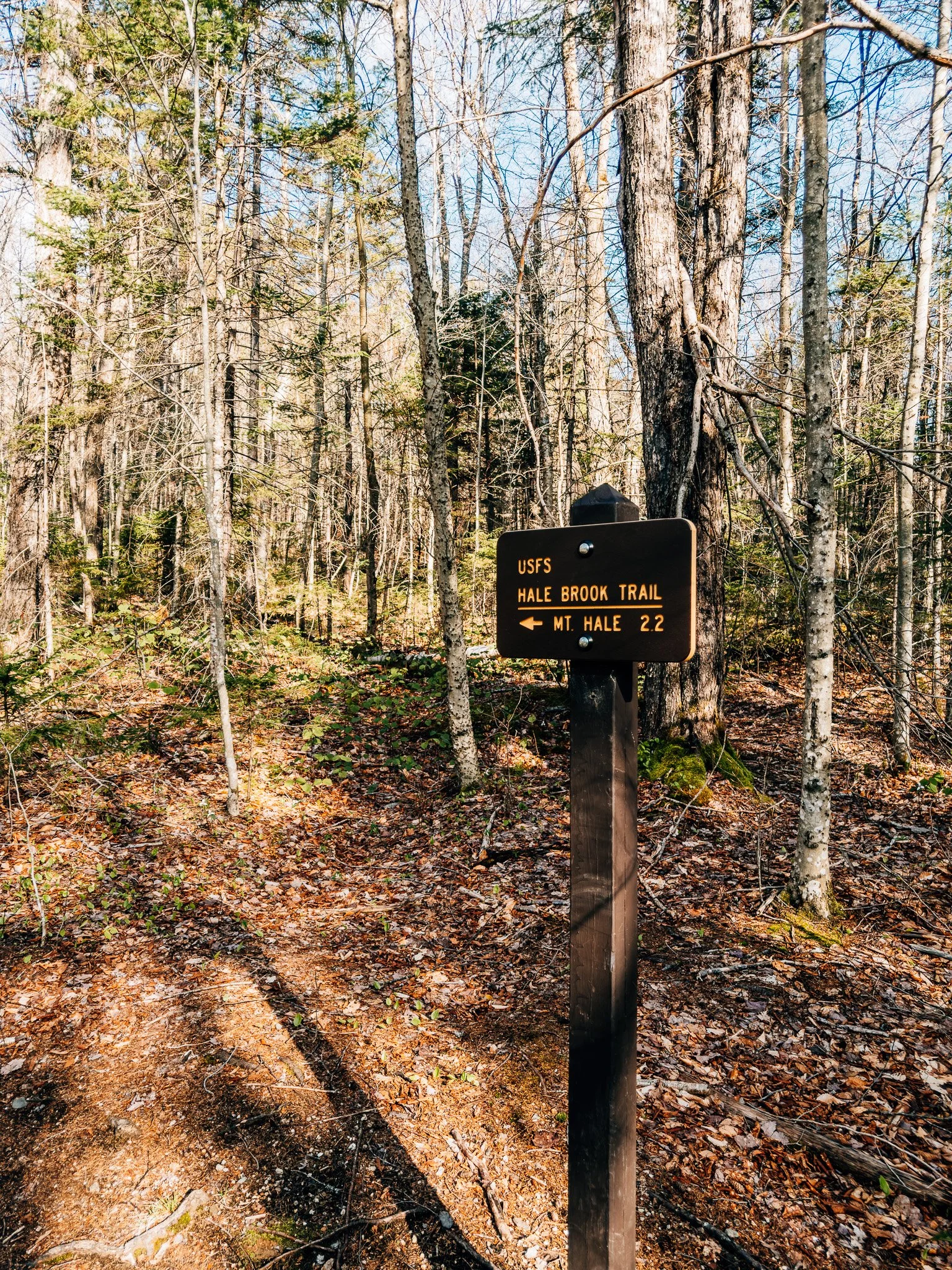 Hale Brook Trailhead parking area and trail sign