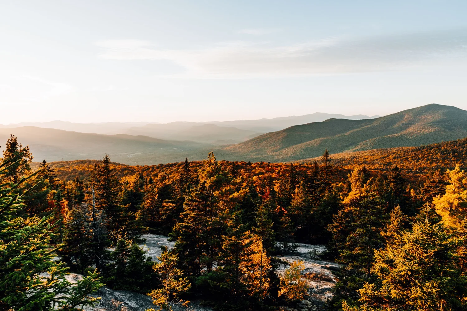 Golden spruce and hardwoods with White Mountain ridges at sunset from the summit of Black Cap