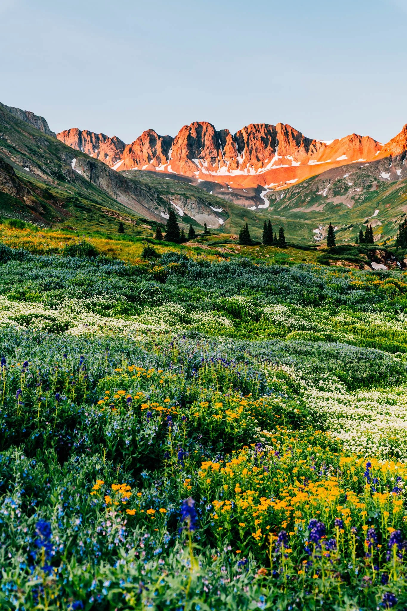 Alpenglow lighting the jagged peaks above a wildflower-filled American Basin on the way to Handies Peak