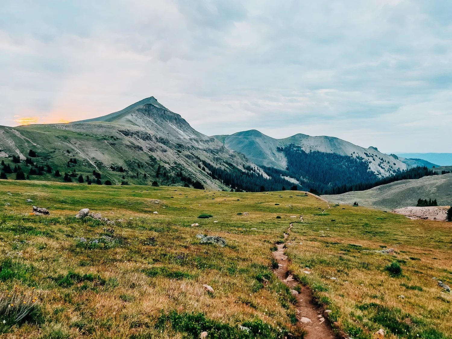 Wide alpine meadows just past the treeline