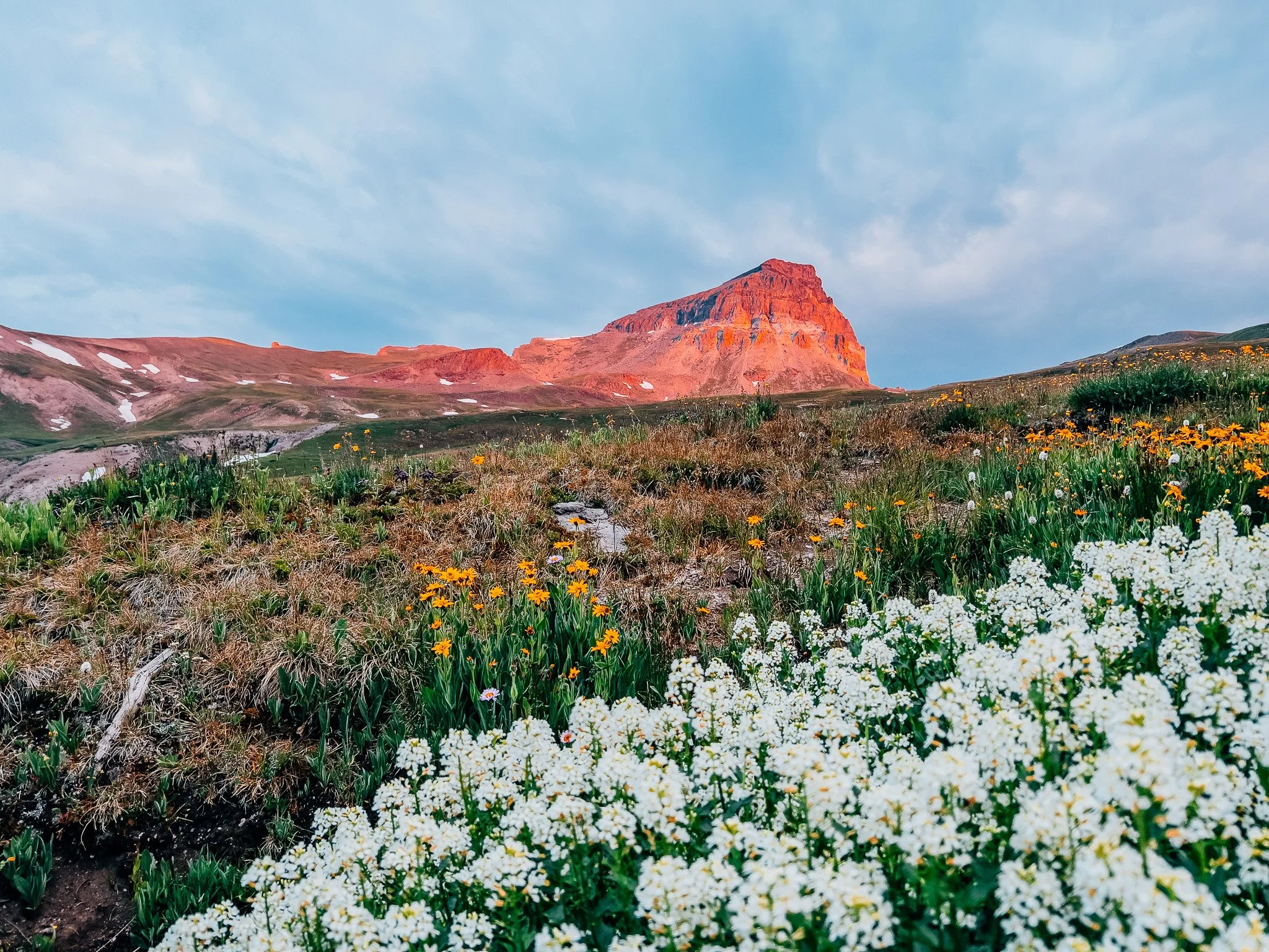 Open alpine meadows with views in every direction