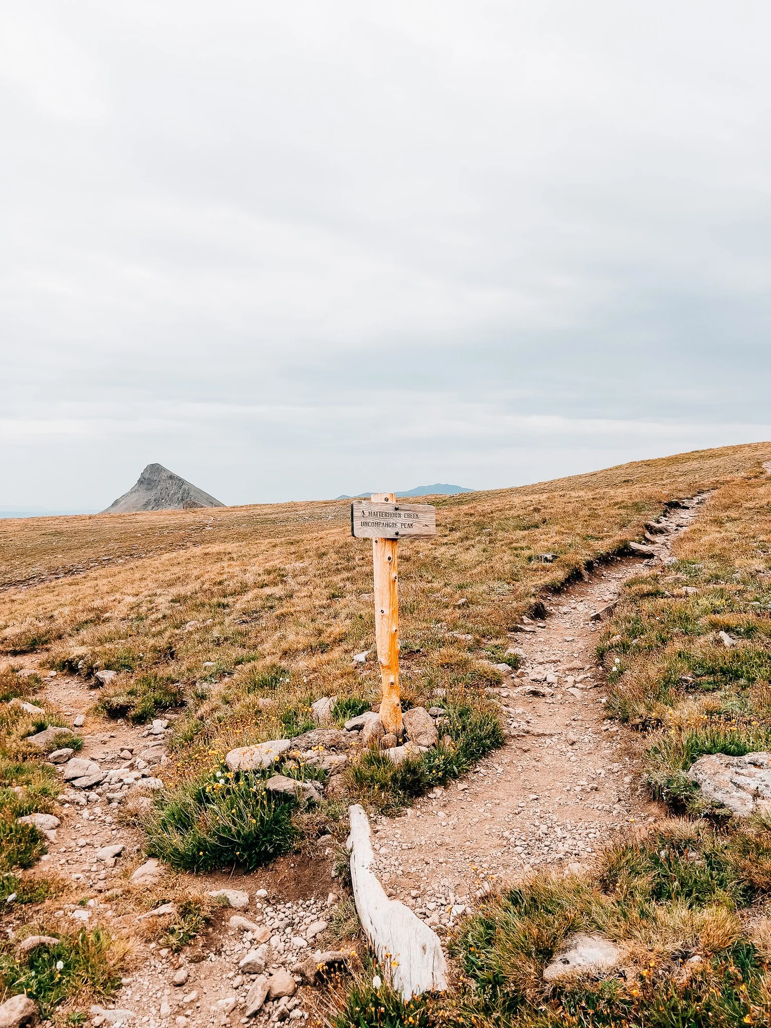 The trail wrapping left toward the ridgeline through open tundra