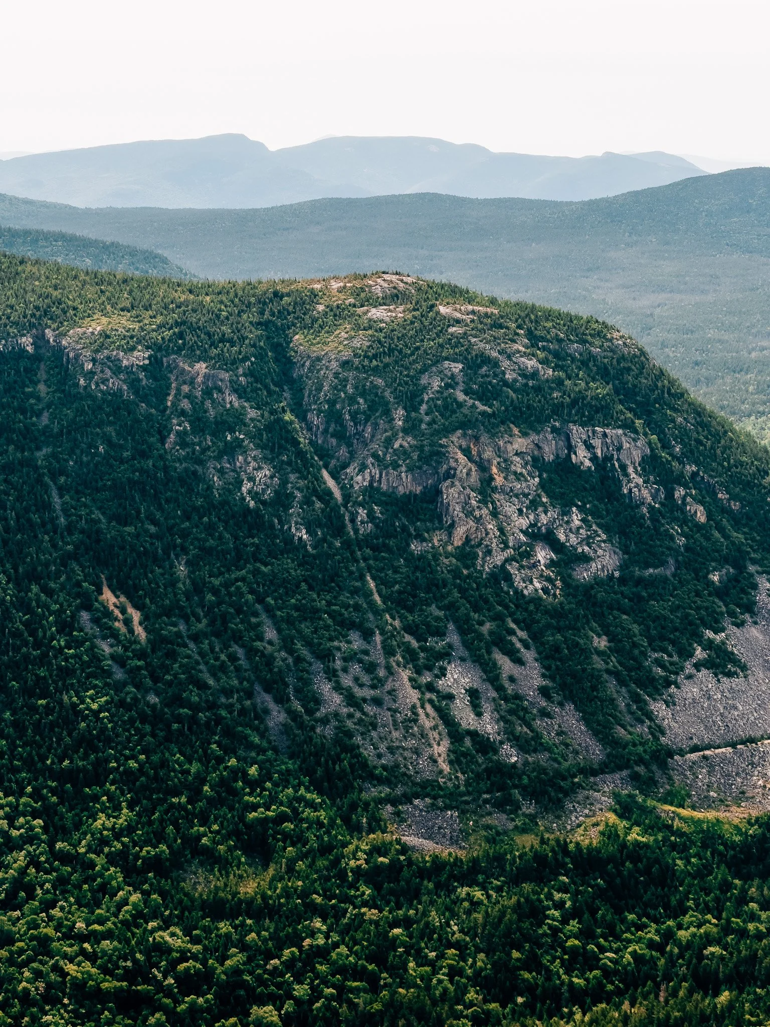 Dramatic cliff face and forested valley from Zeacliff overlook