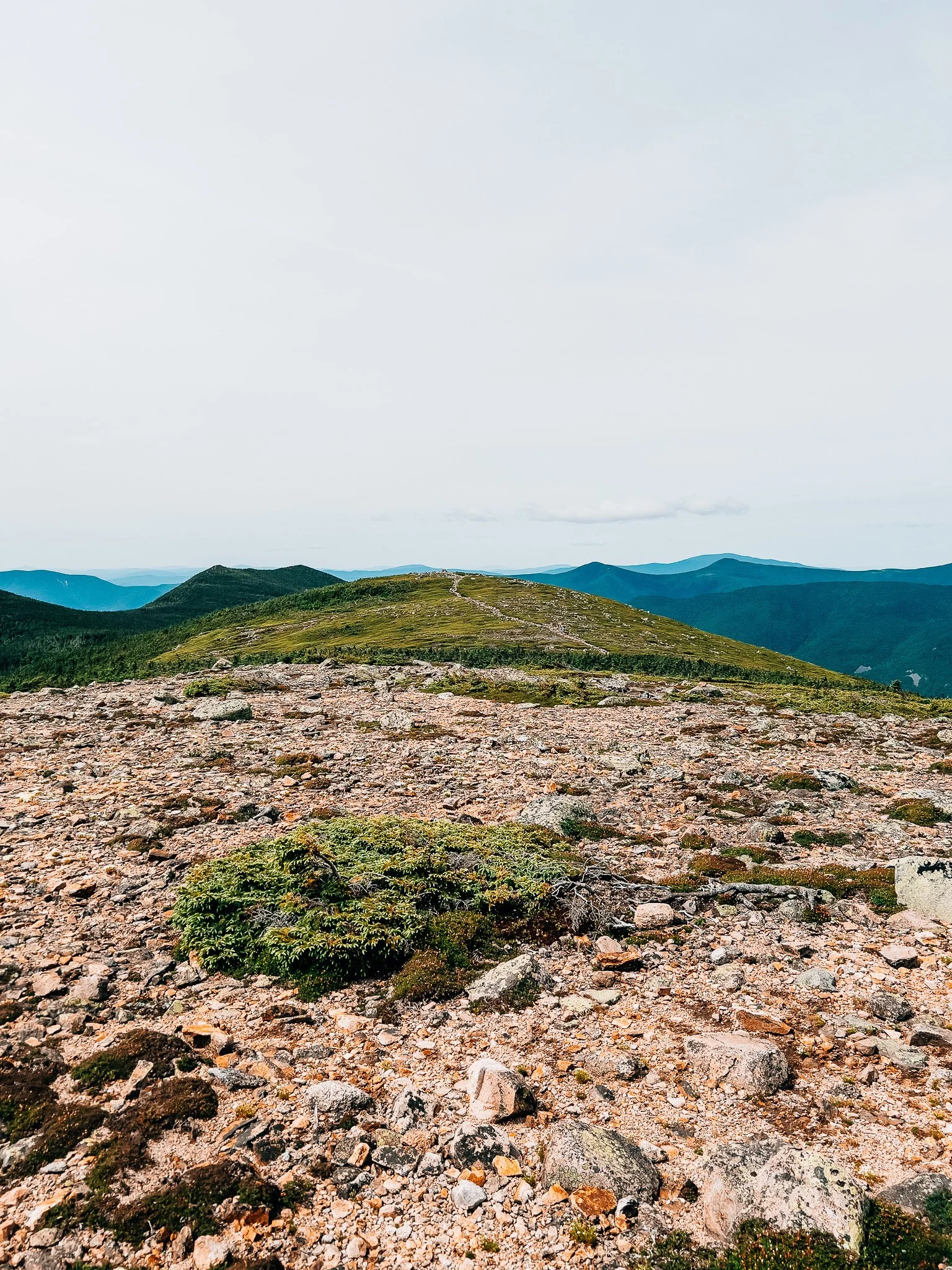 Open alpine plateau with the Bond range ahead