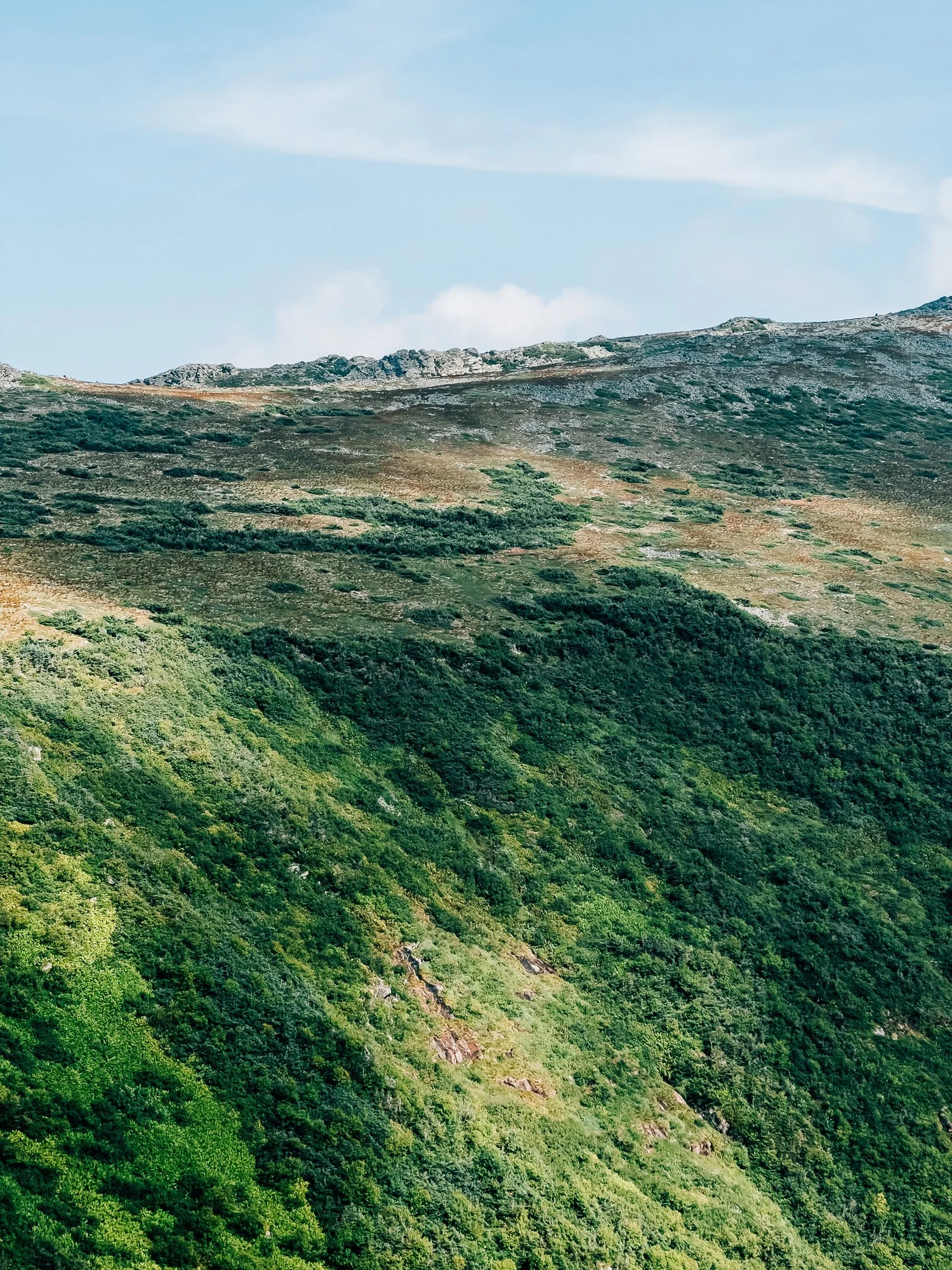 The Davis Path junction high on the ridge