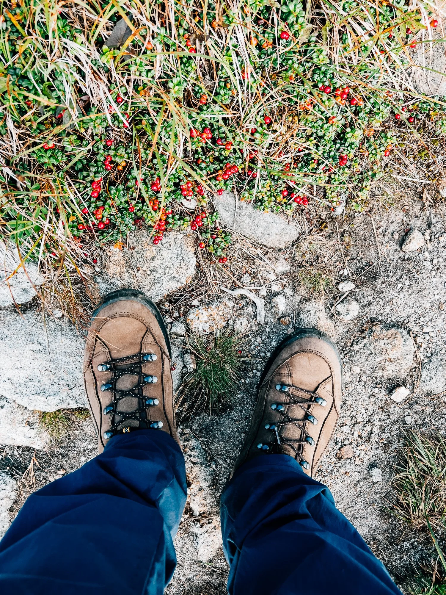 Sweeping wilderness views along the ridge walk