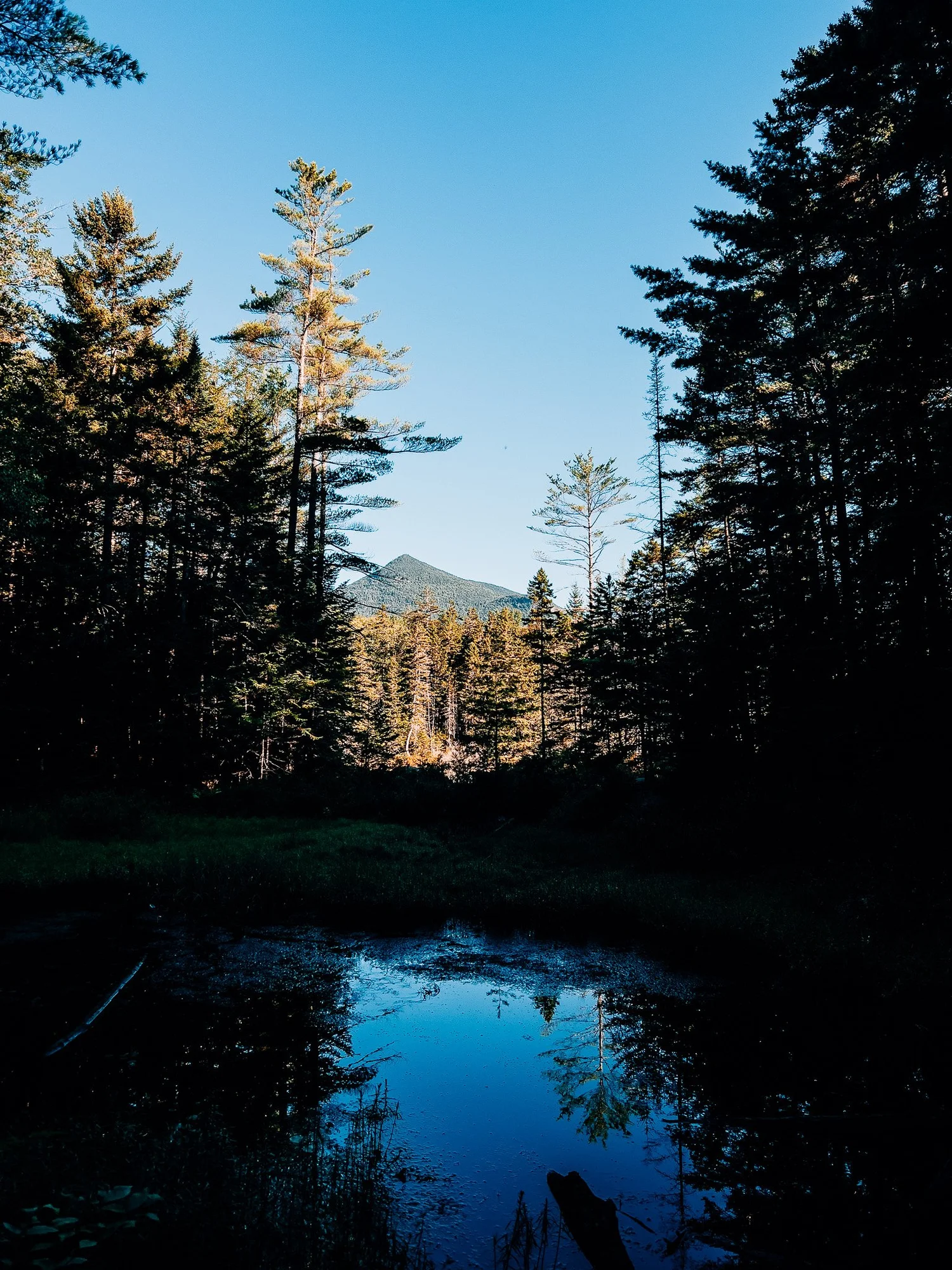 Owl's Head summit ridge seen across Black Pond