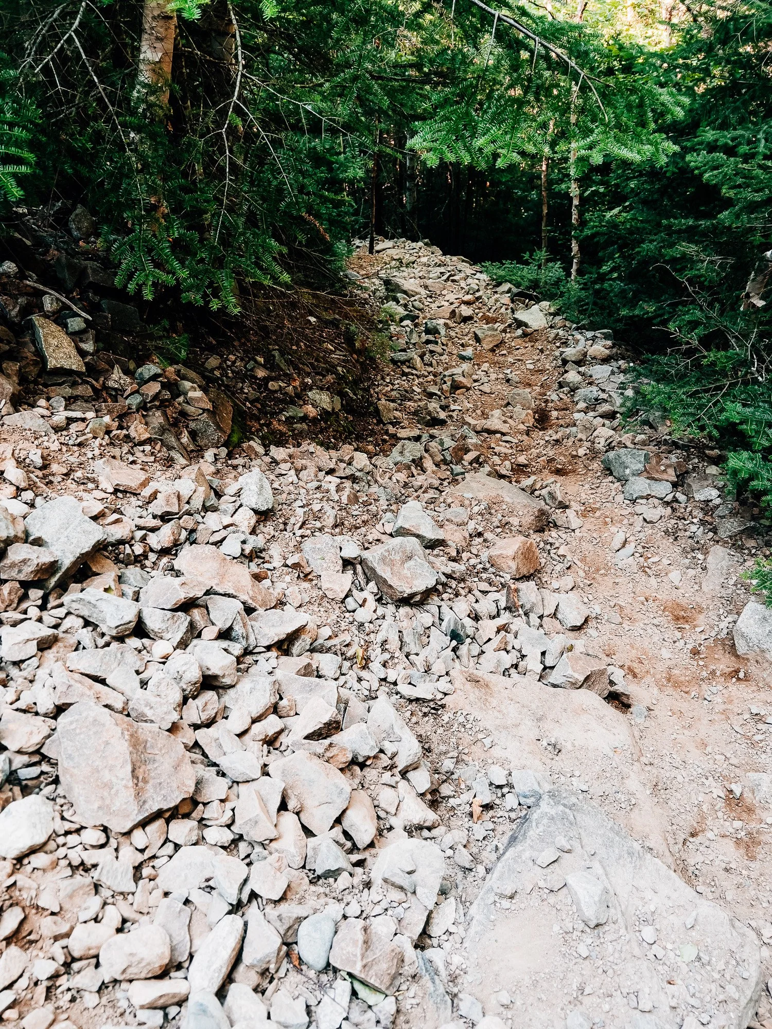 Loose scree on the Owl's Head Slide