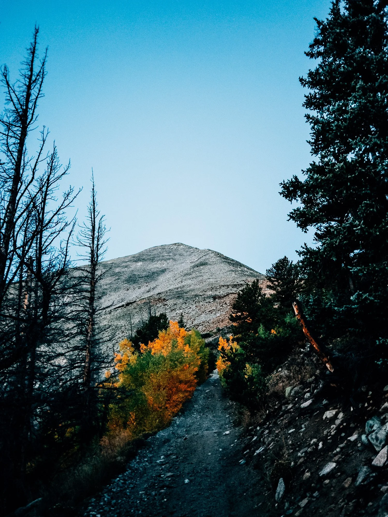 The rocky pyramid of Mount Princeton in the distance