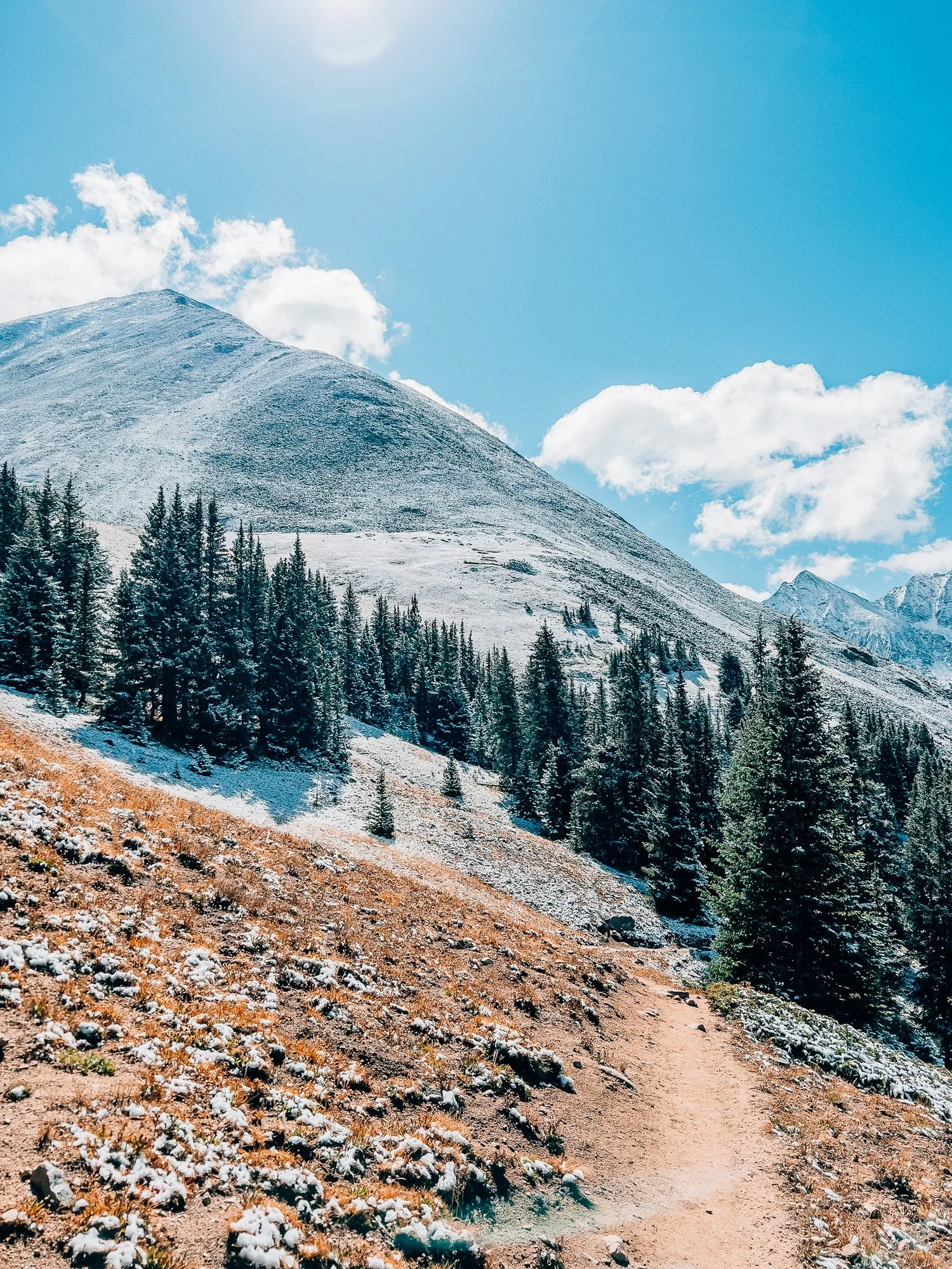 The trees opening up to wide mountain views toward the alpine