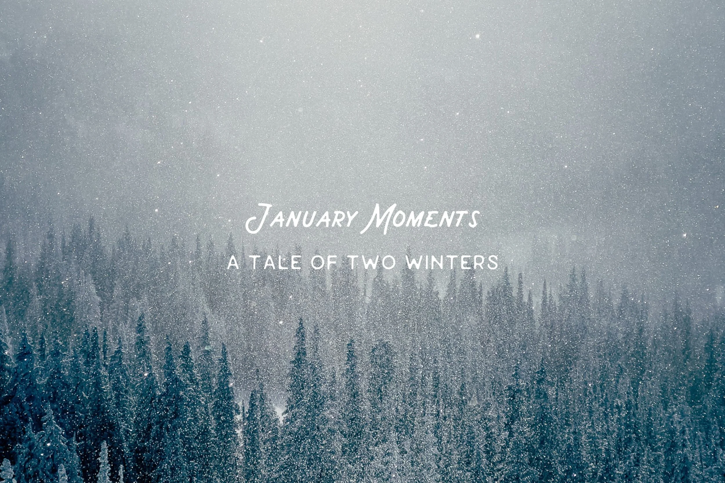January Moments — A Tale of Two Winters