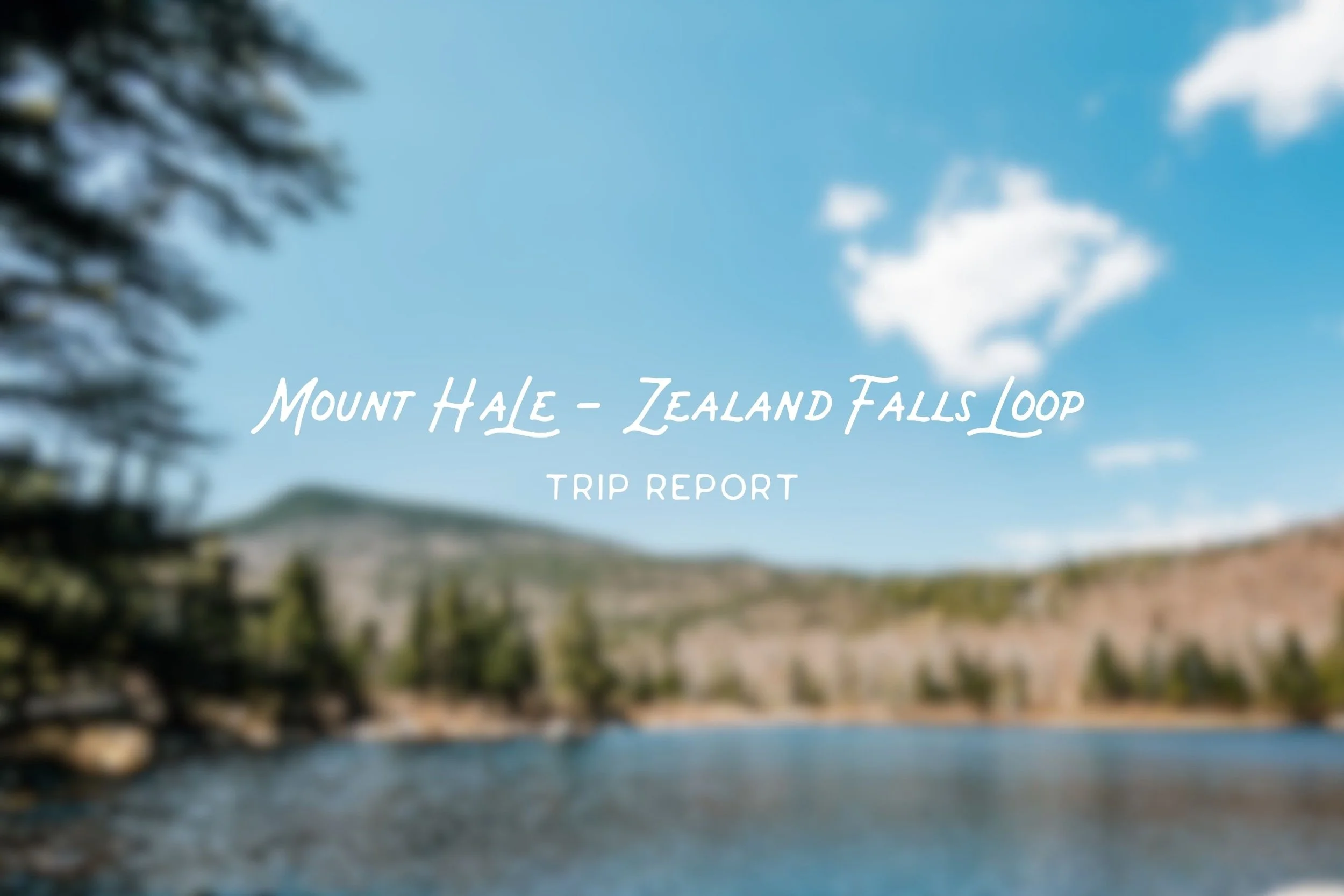 Mount Hale via Hale Brook Trail, Lend-A-Hand, Zealand Notch Trail – Trail Guide &amp; Trip Report (White Mountains, NH)