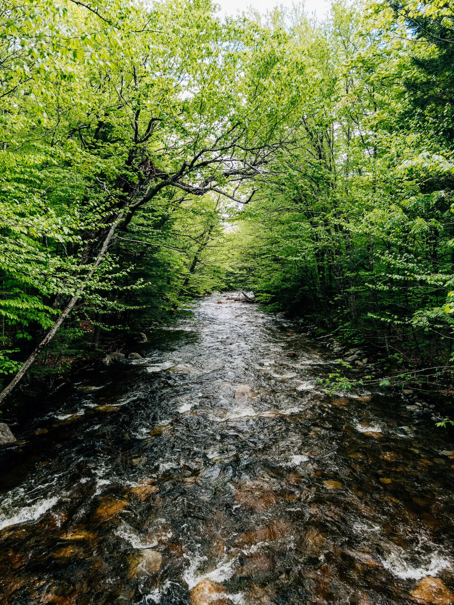 Crossing the Pemigewasset River, running high after the storm