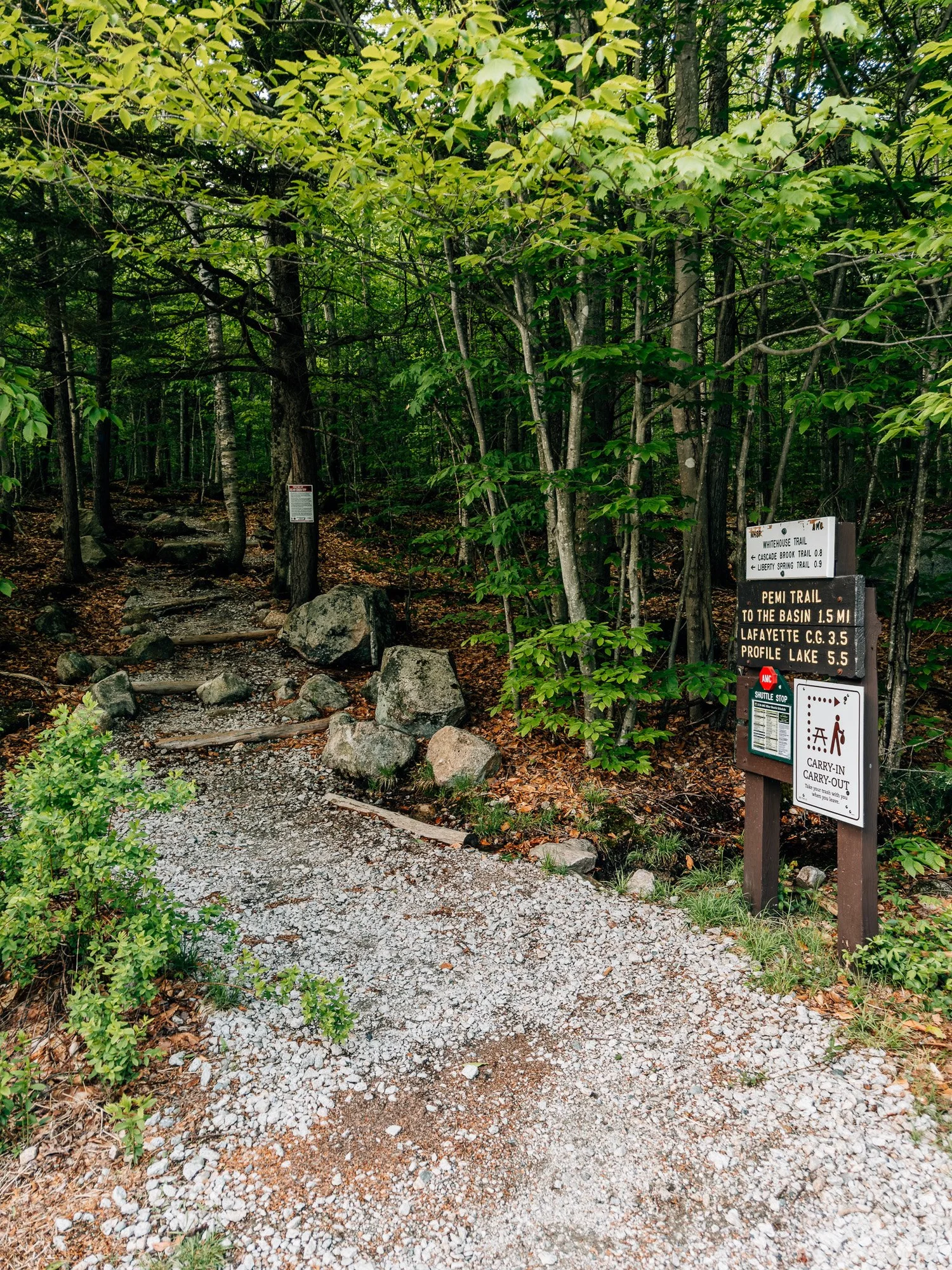The Whitehouse Trailhead and parking area
