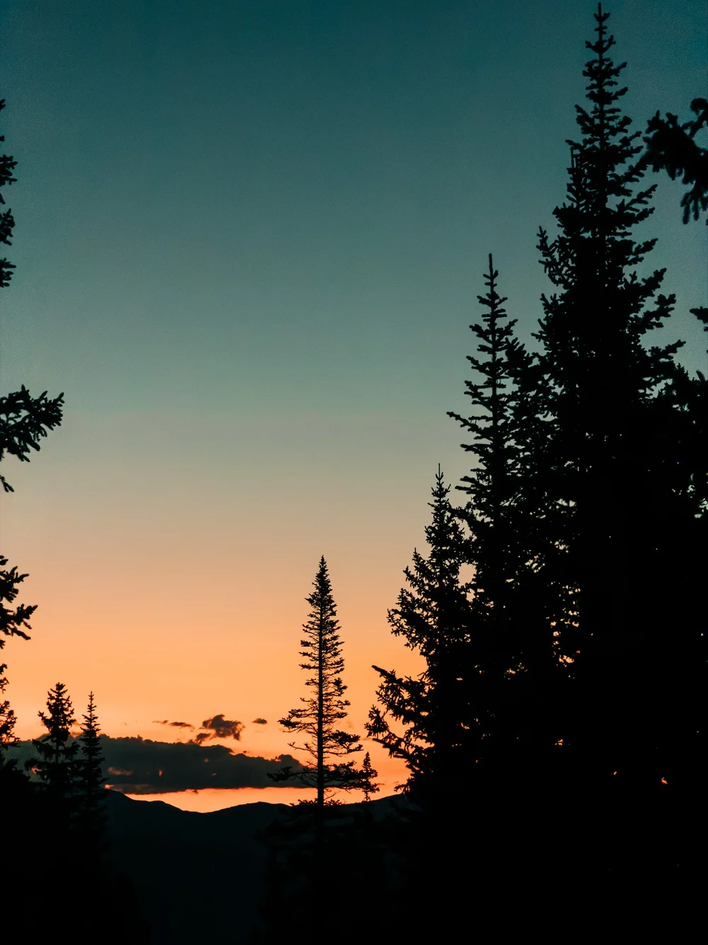 Morning light