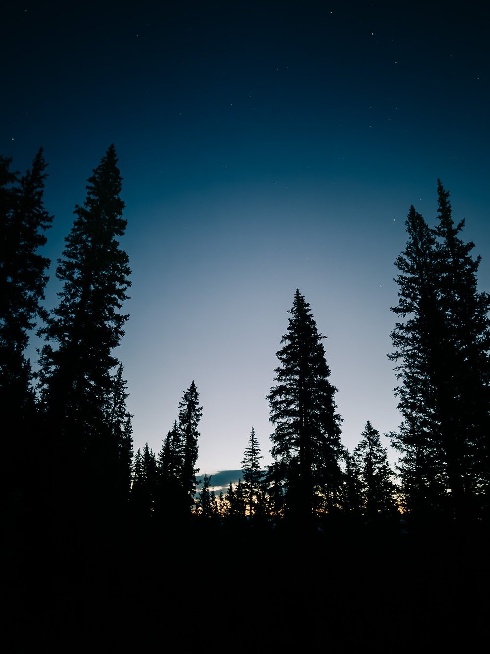Morning light