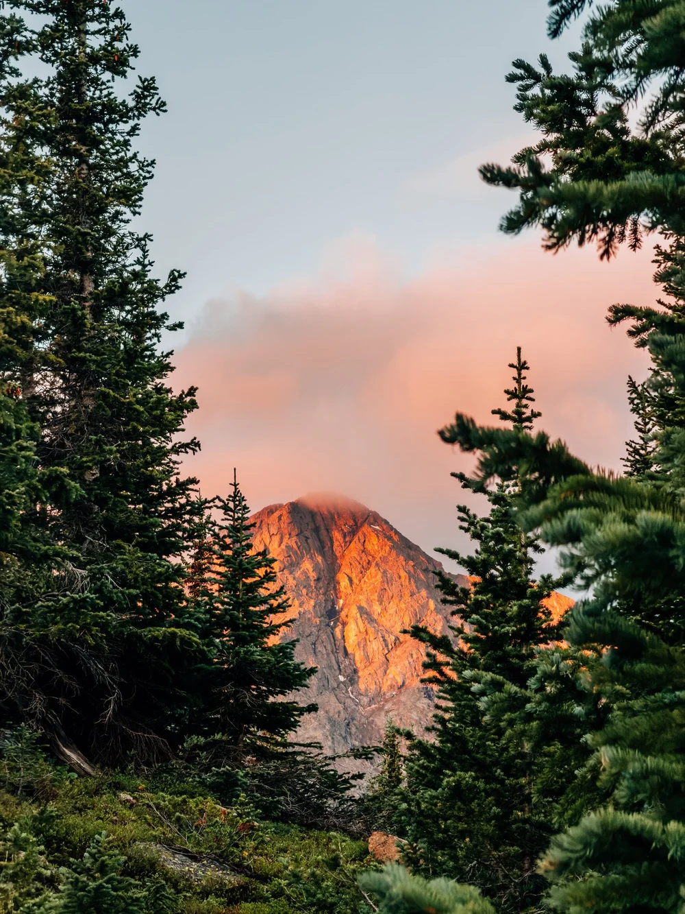 Summit in alpenglow