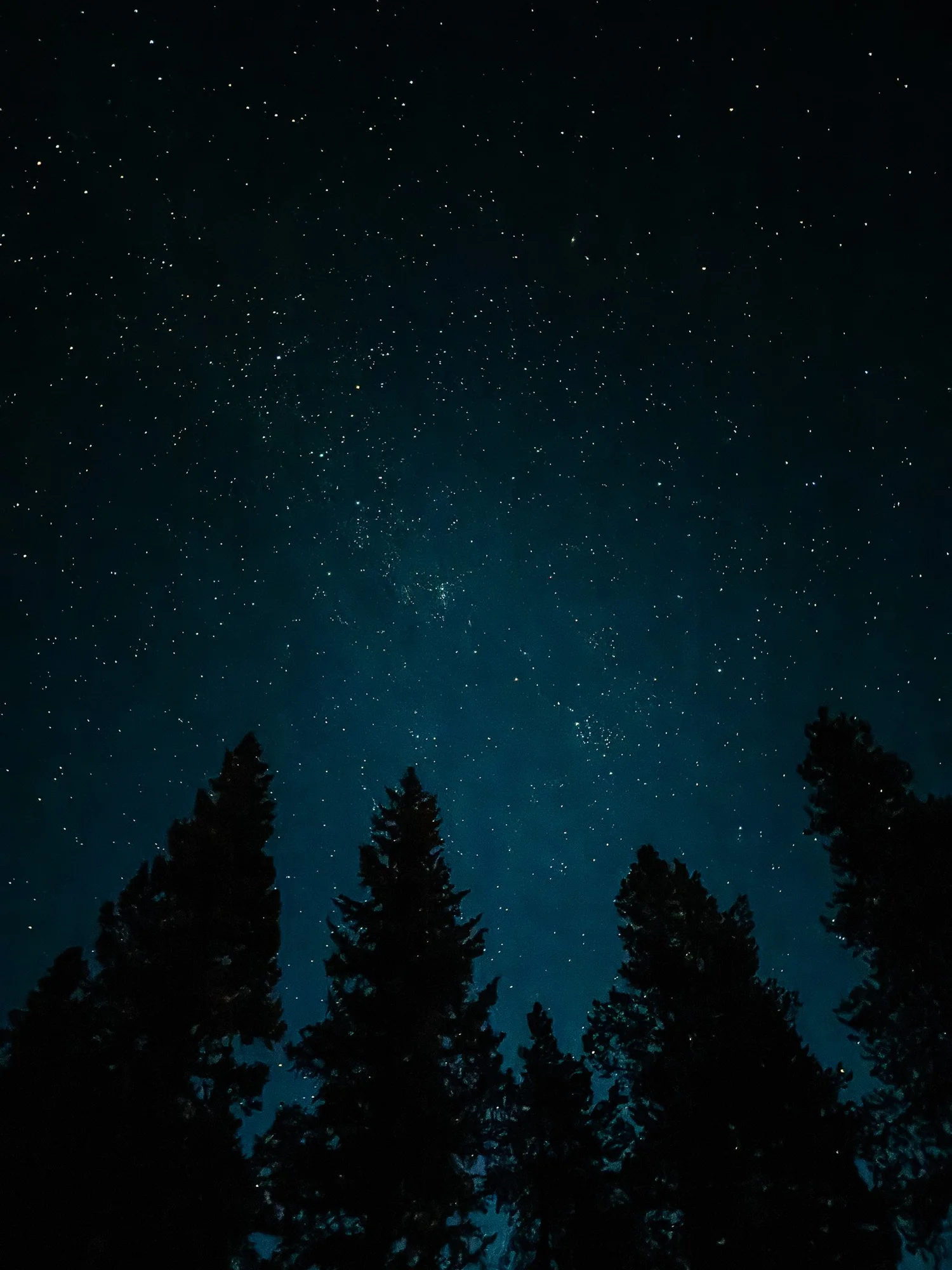 Night sky before starting the Mount of the Holy Cross hike