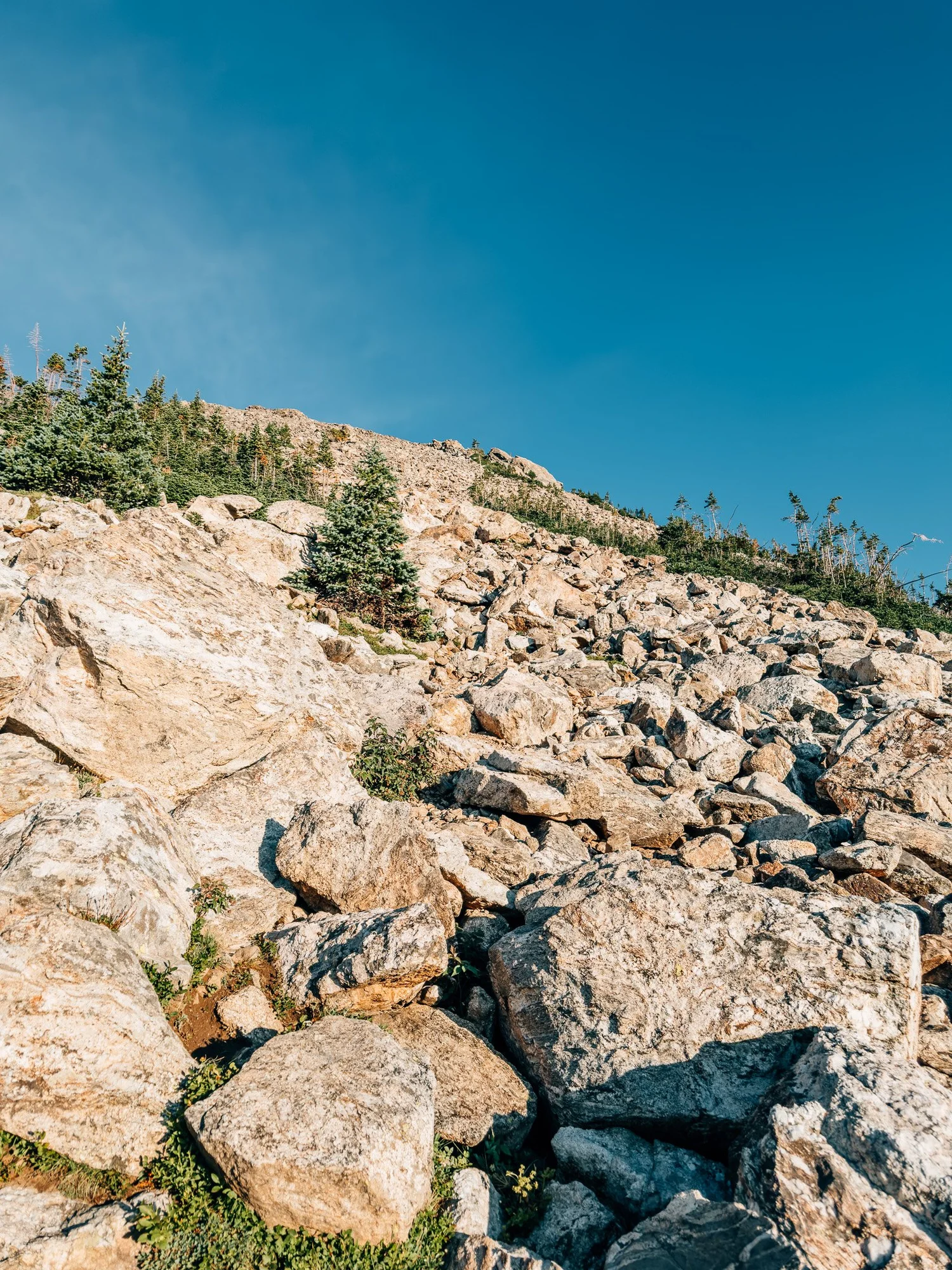 Bottom of the boulder field on Mount Buffalo, looking up