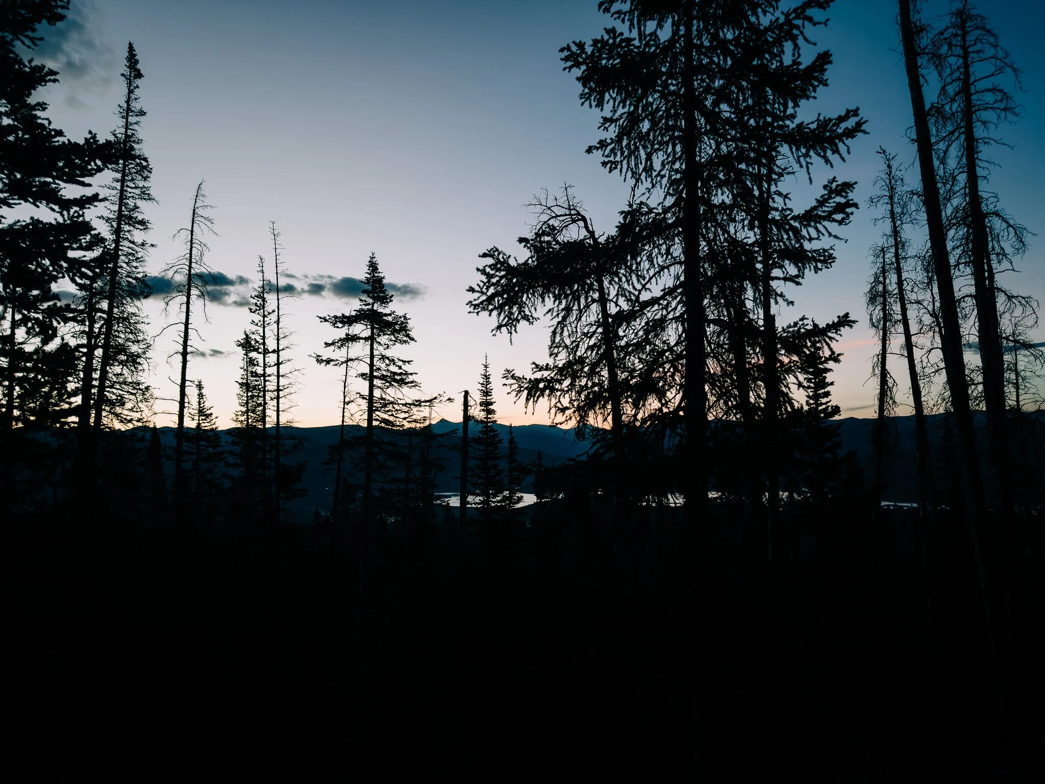 First light on the Mount Buffalo trail