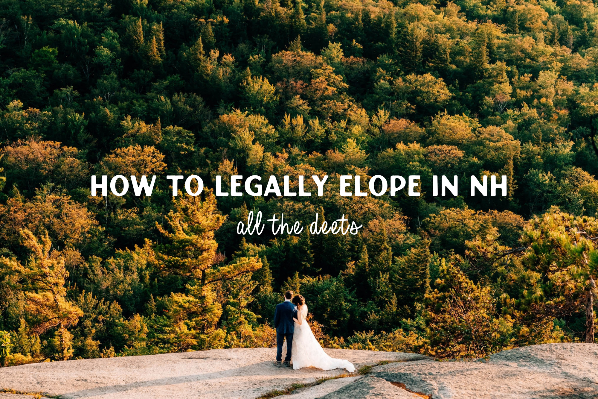 How to Legally Elope in New Hampshire: Licenses, Witnesses, and Permits