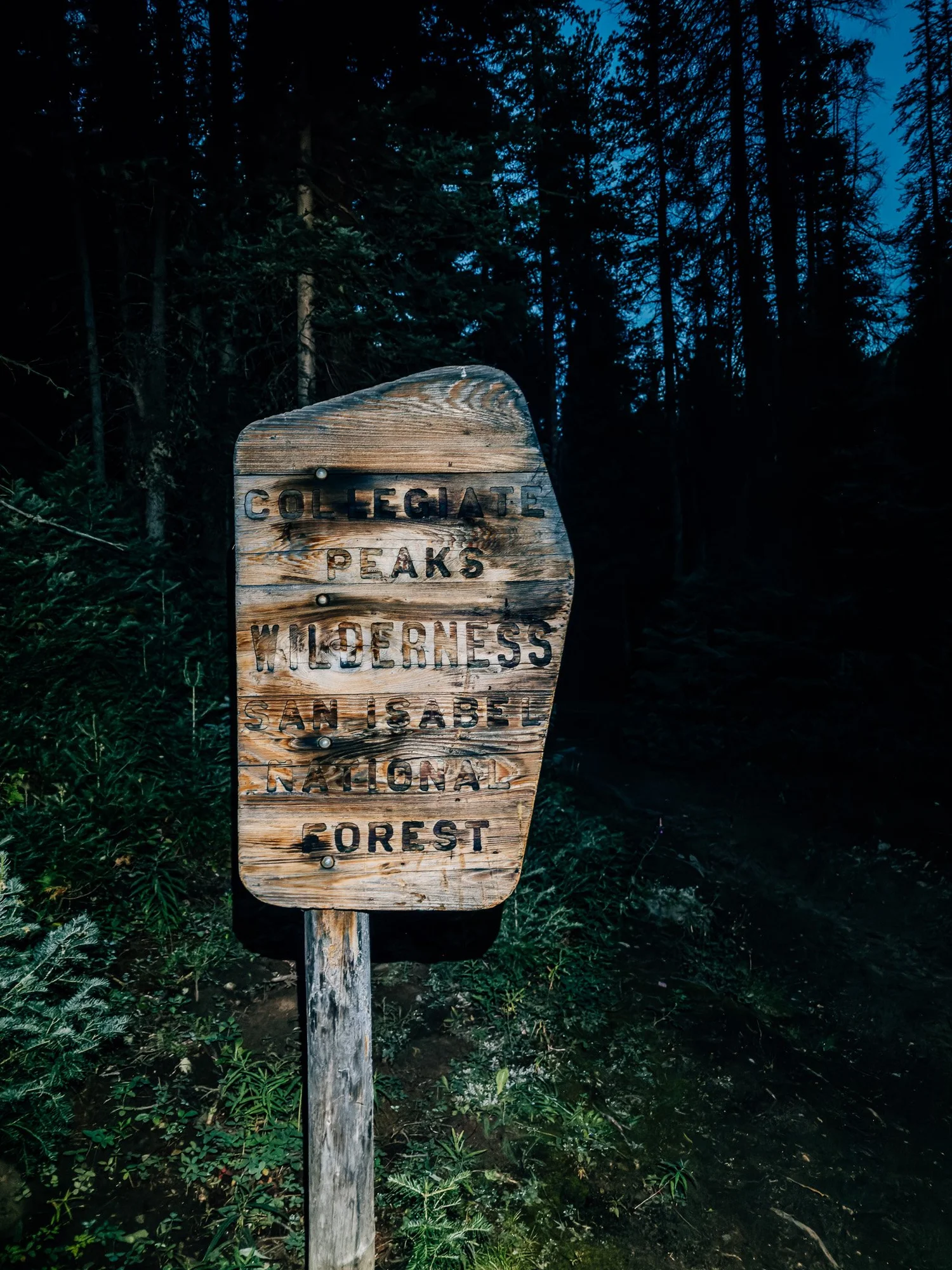 Collegiate Peaks Wilderness boundary sign on the North Cottonwood trail to Mount Harvard