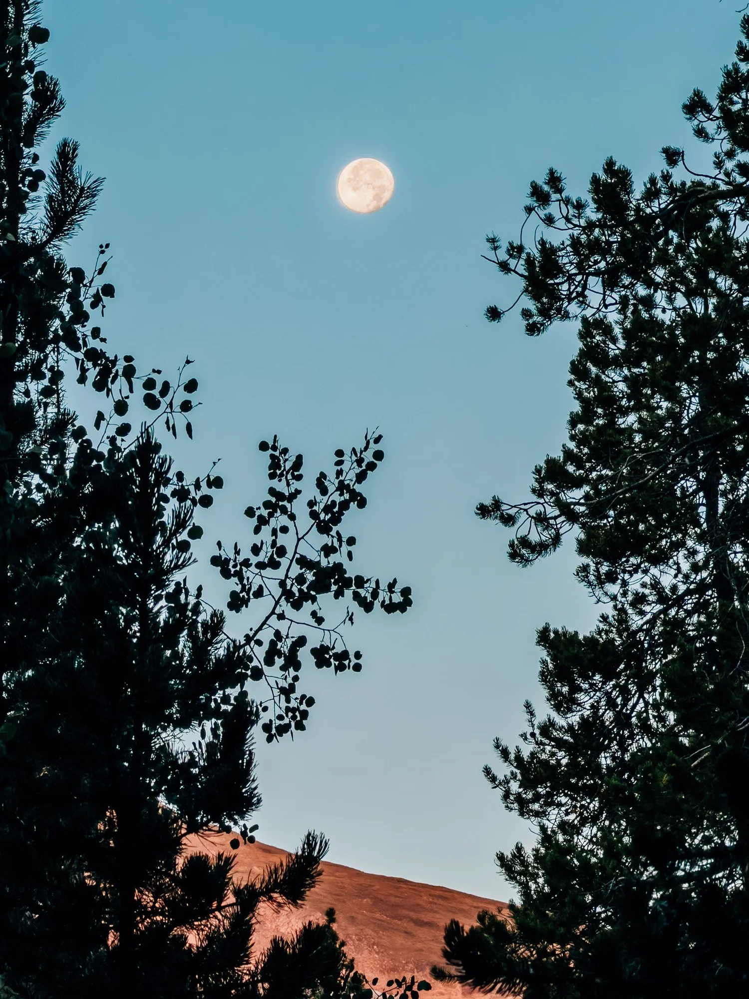 Almost-full moon over the Collegiate Peaks Wilderness before sunrise