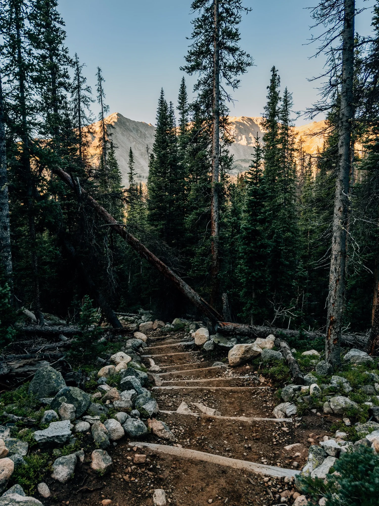 Stone steps built into the Horn Fork Basin trail to Mount Harvard