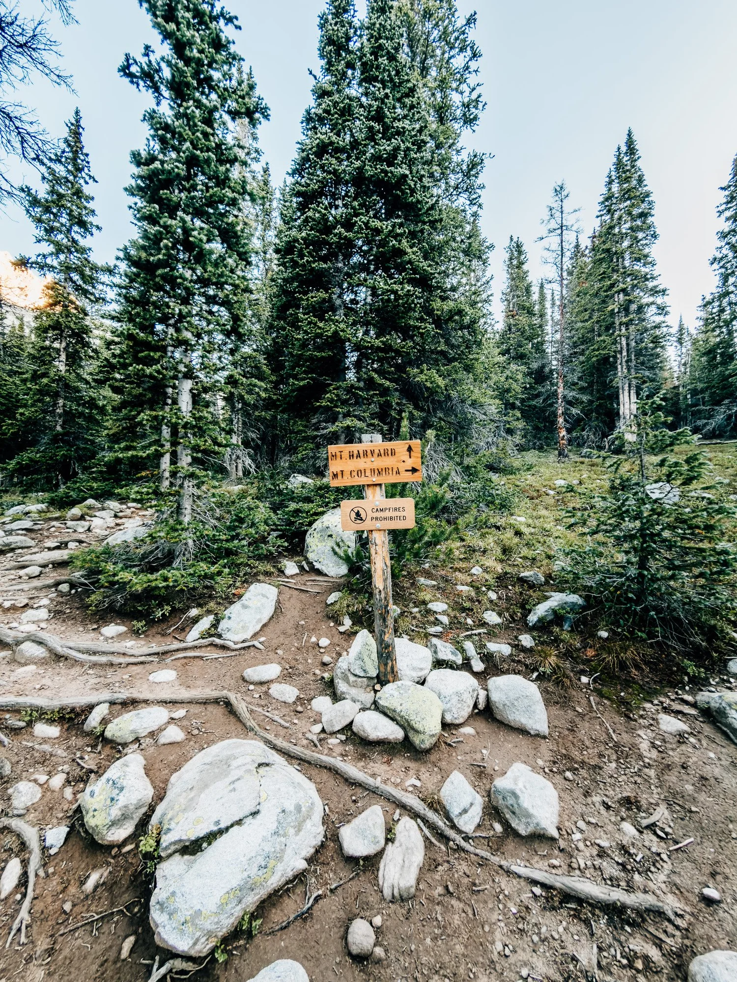 Trail junction sign where the routes to Mount Harvard and Mount Columbia split