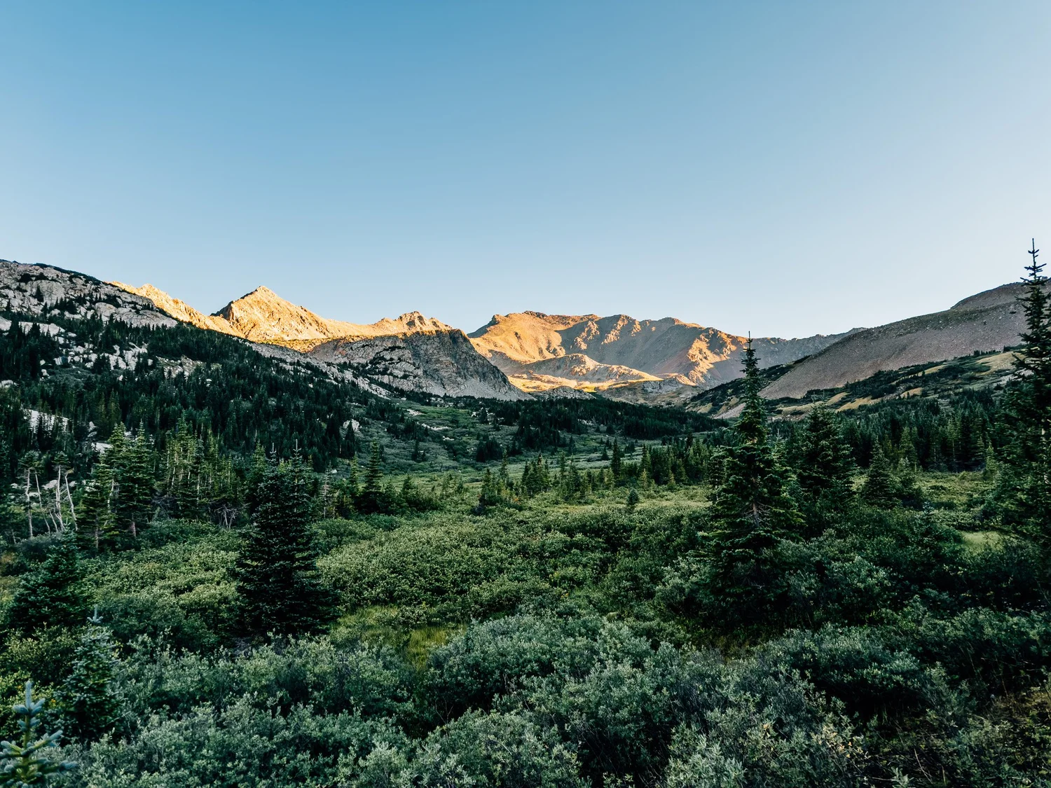 Overlook of Horn Fork Basin as the trail to Mount Harvard leaves the trees