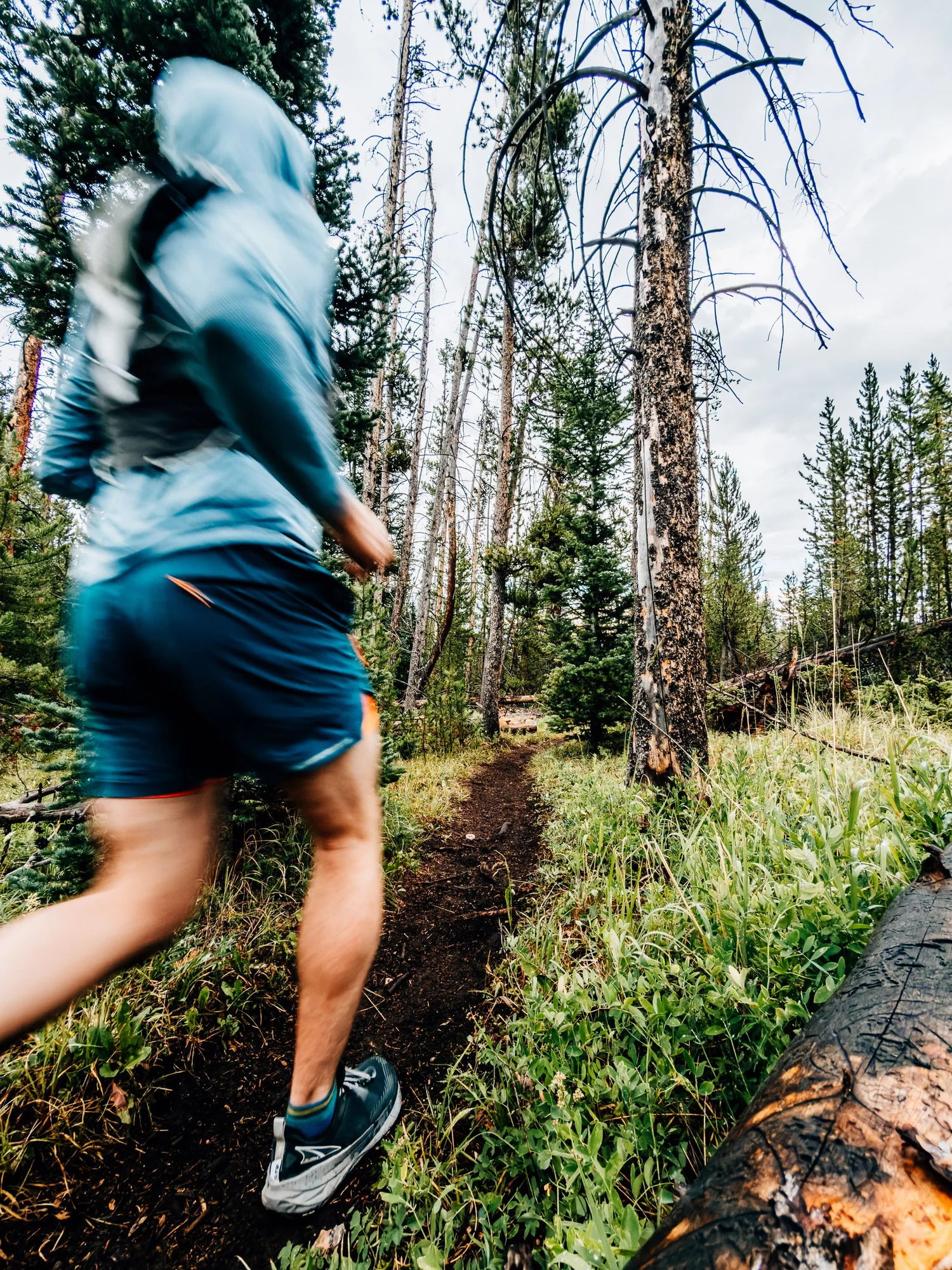 Trail runner in a blue hooded jacket blurred in motion along a narrow dirt path through lodgepole pines