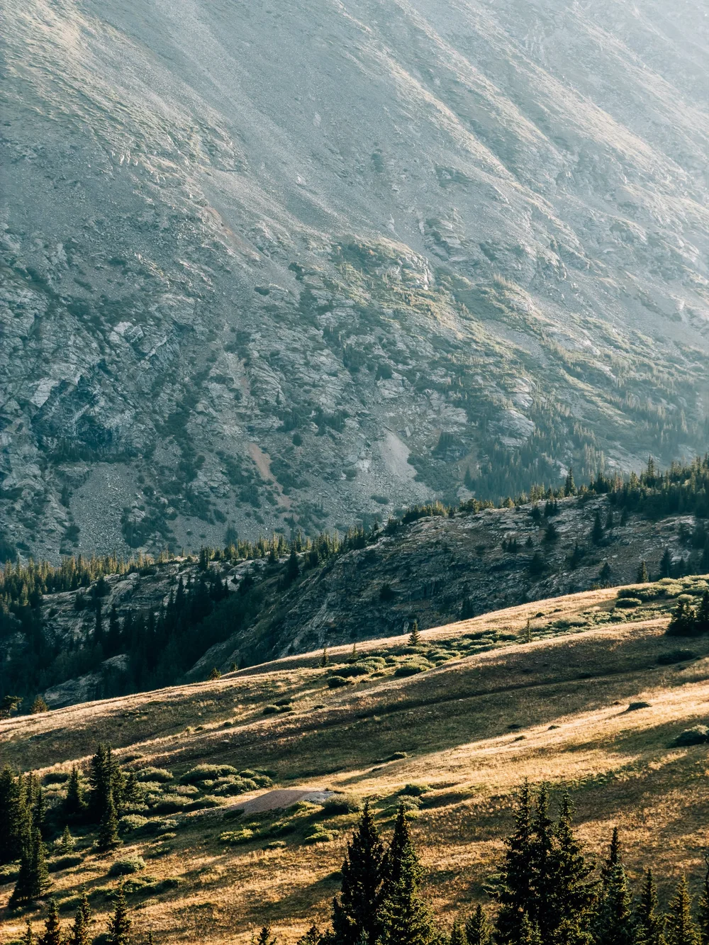 Late sun lighting a golden grass slope and spruce below a steep rocky mountainside near Hoosier Pass
