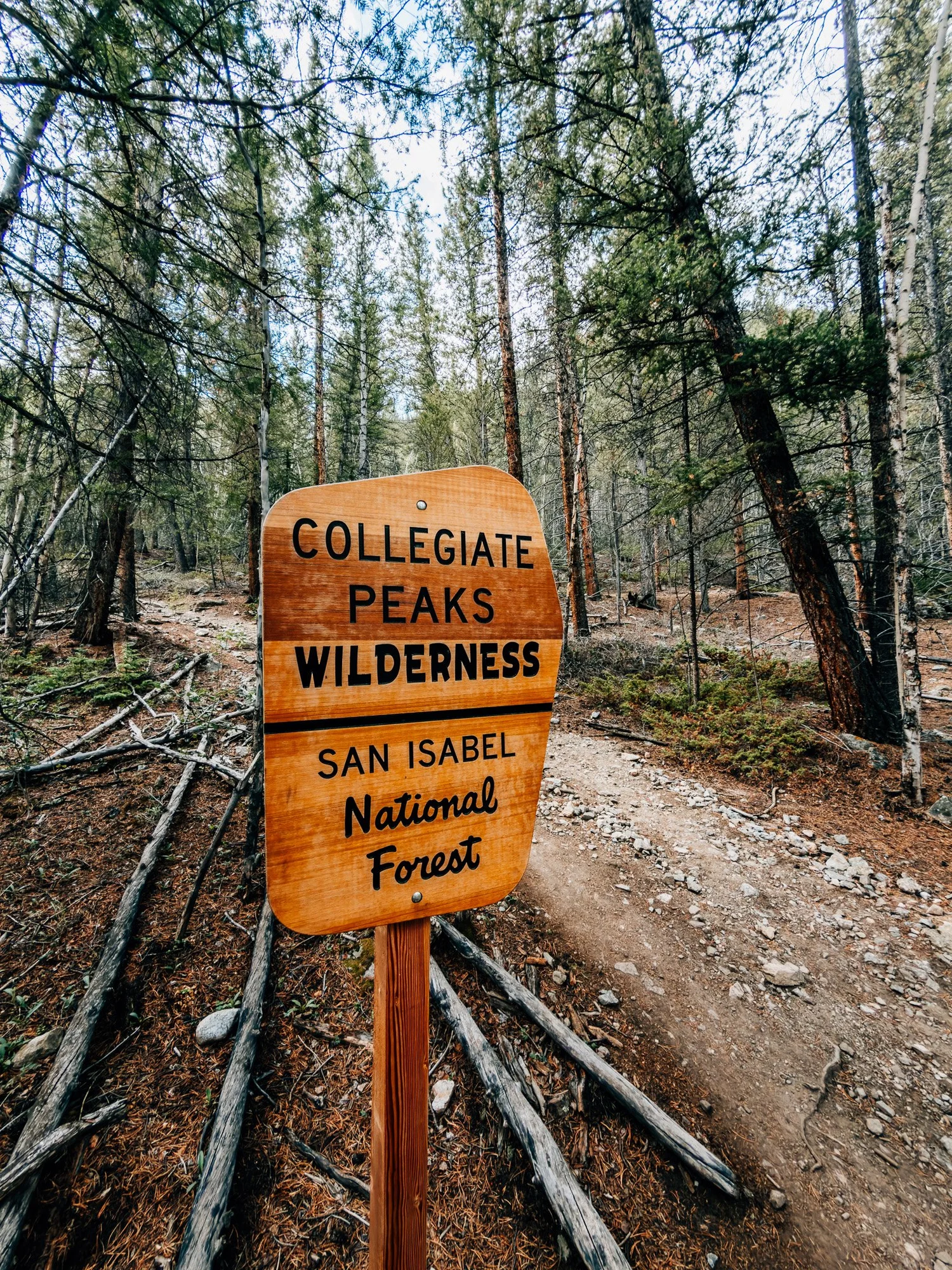Carved Collegiate Peaks Wilderness, San Isabel National Forest sign beside the Missouri Gulch trail