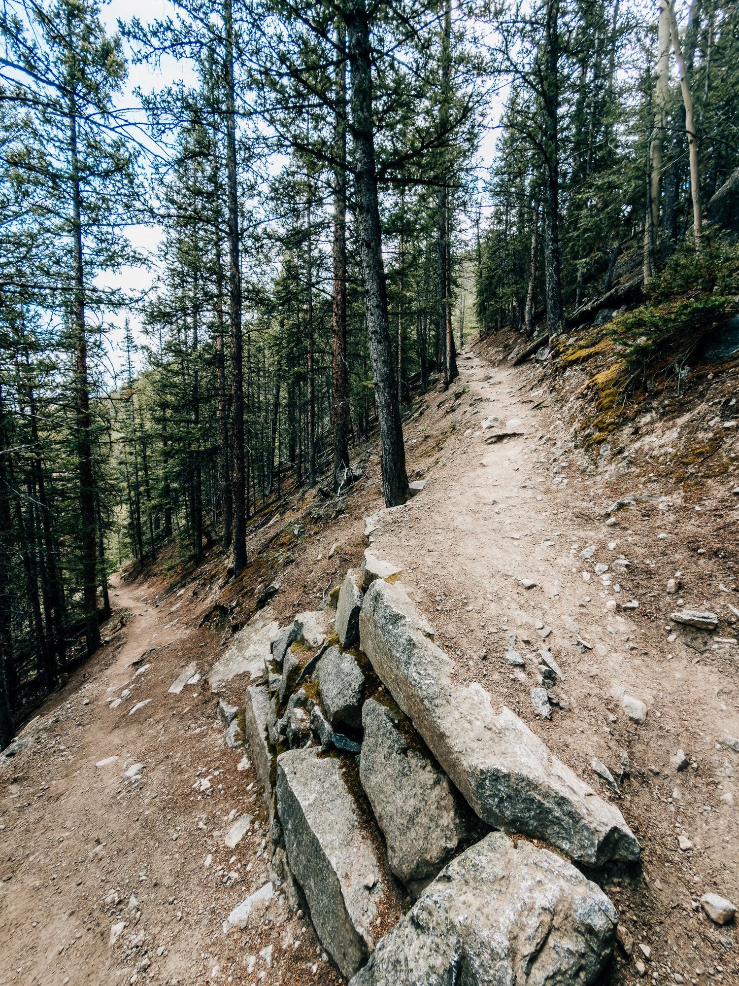 Rock-walled switchback on the forested lower Missouri Gulch trail
