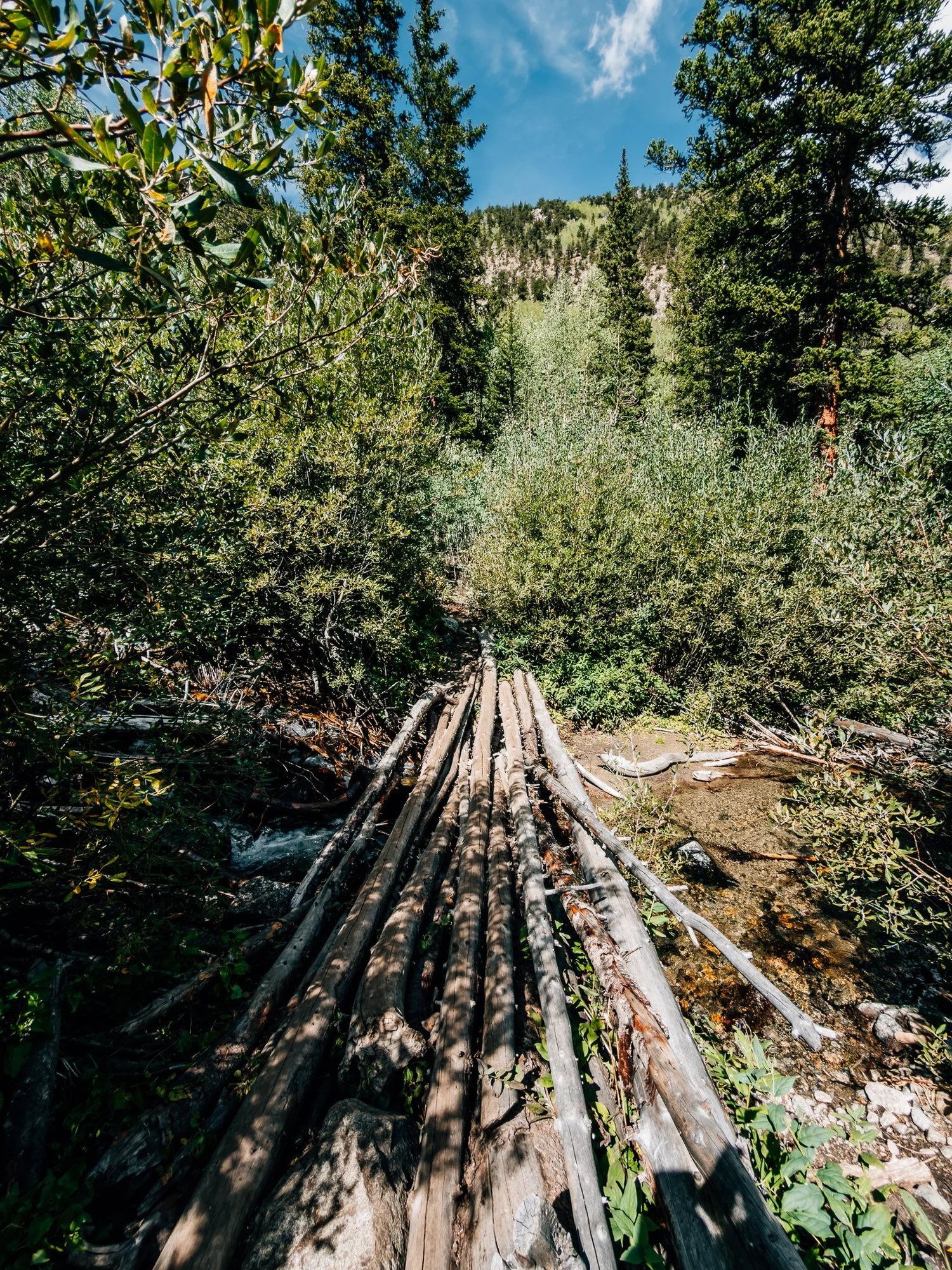 Bridge of bundled logs over a creek in the brushy lower part of Missouri Gulch