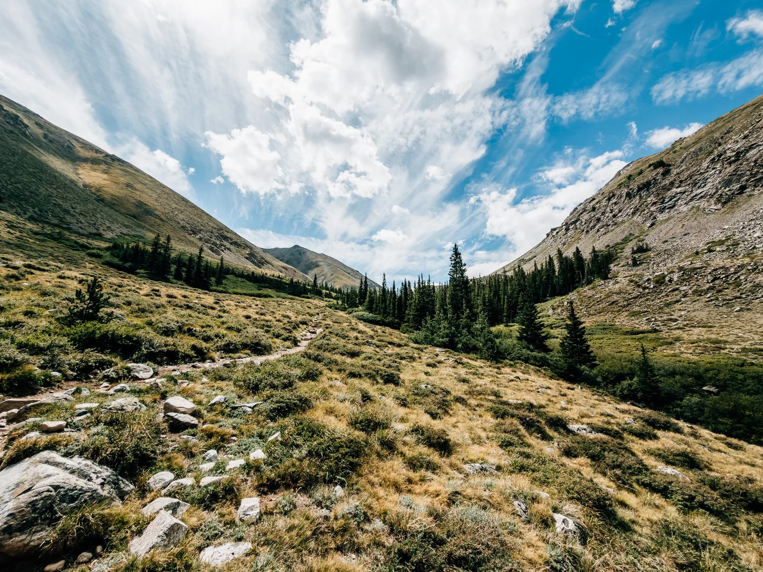 Trail winding through alpine tundra above treeline in Missouri Gulch under a sweeping sky