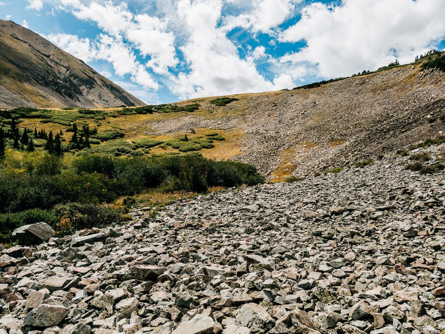 Talus field at the top of Missouri Gulch with green tundra and willows beside it