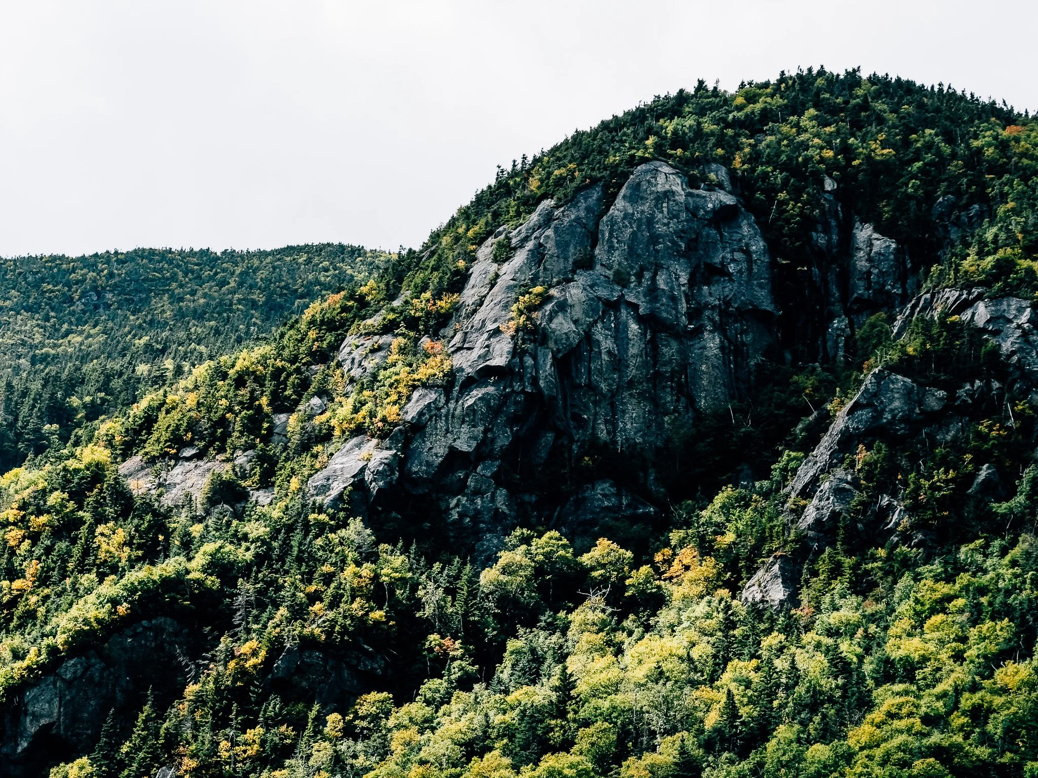 Rocky cliff face and autumn-tinted forest near Carter Dome in the White Mountains