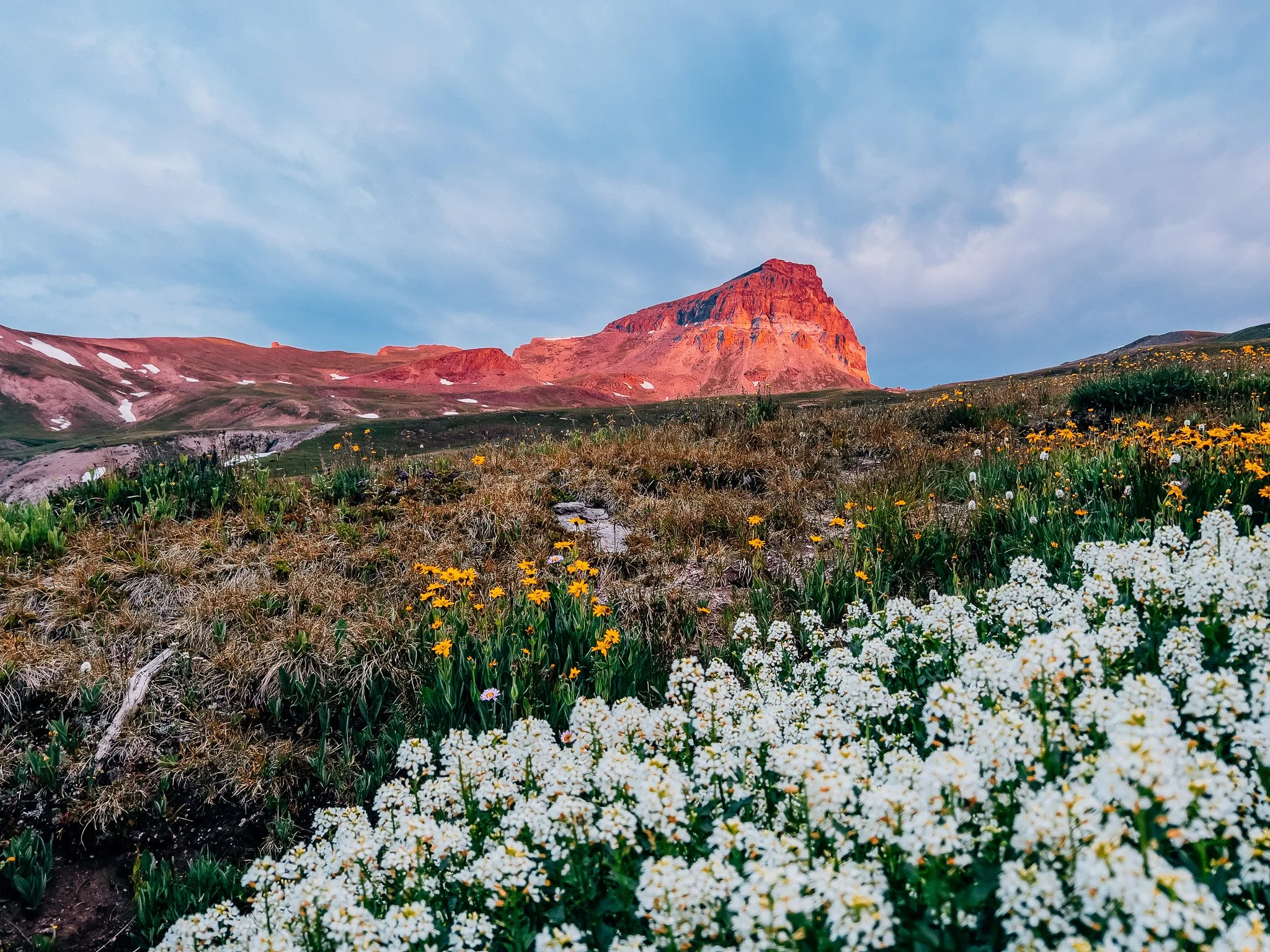 Wildflowers in the foreground and Uncompahgre Peak glowing red at sunset in the San Juan Mountains