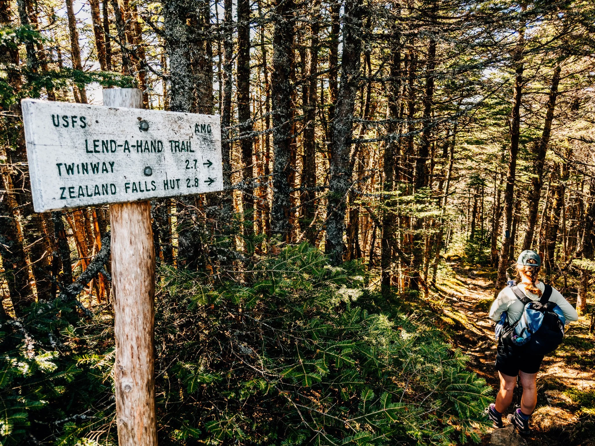 Lend-a-Hand Trail junction sign near Mount Hale summit