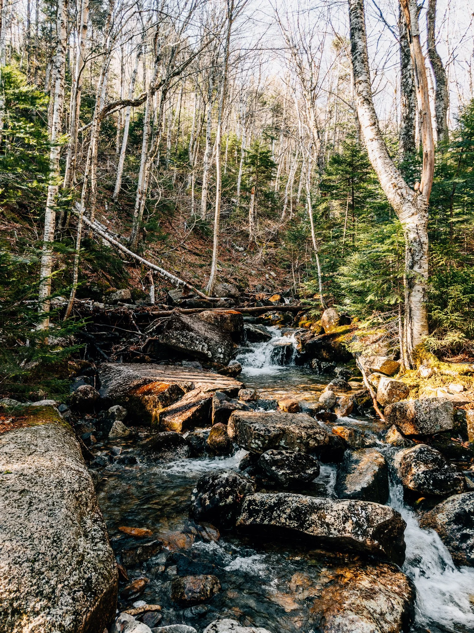Small creek crossing on Hale Brook Trail