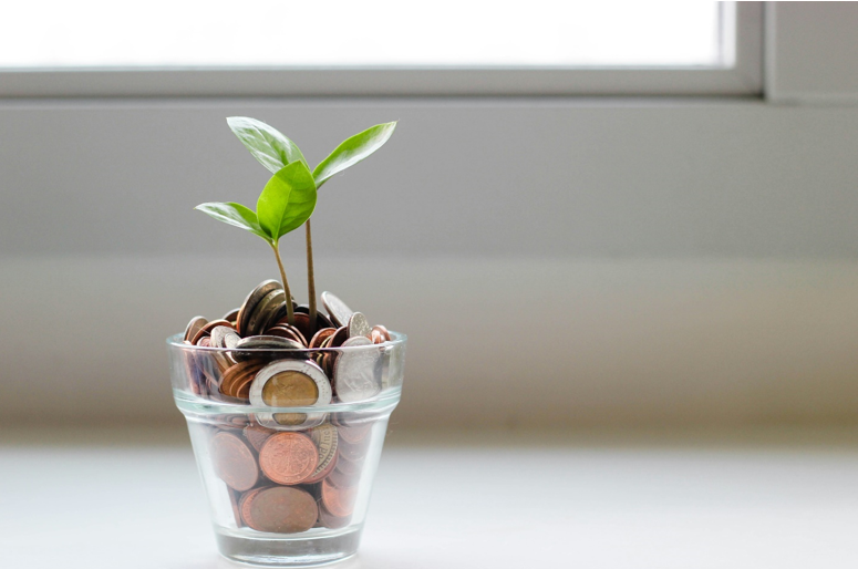 a little pot of money resembling your savings account that is going to grow