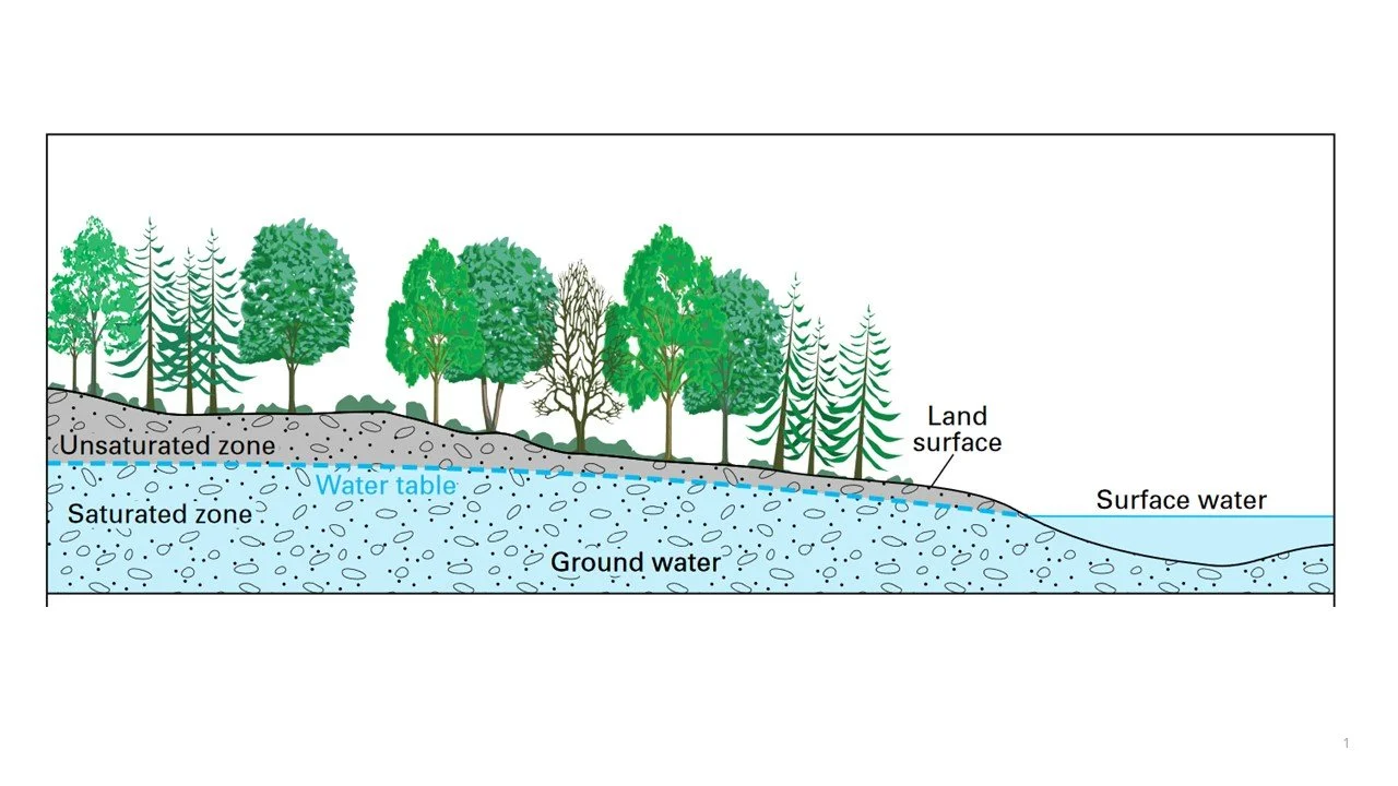 Cross-section illustration of a forested area showing land surface, unsaturated zone, saturated zone, groundwater, water table, surface water, and trees.