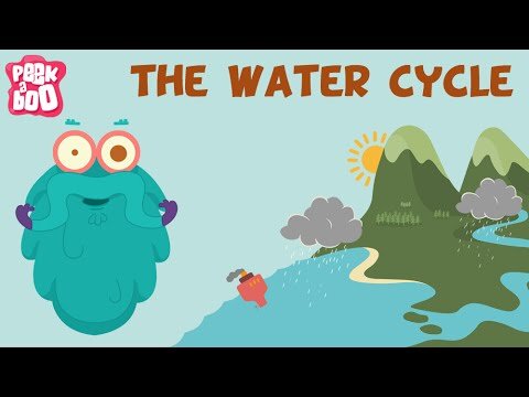 Thursday 11 June: The Water Cycle