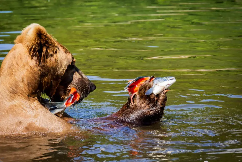 What Wildlife Can You See on Alaska Tours?