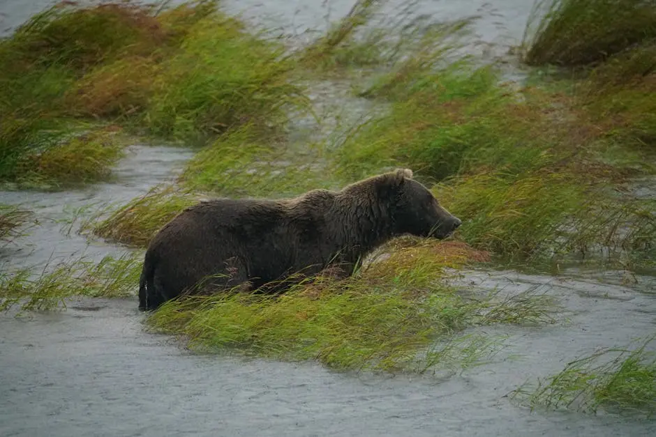 Anchorage Wildlife Tour: A Journey into the Heart of Nature