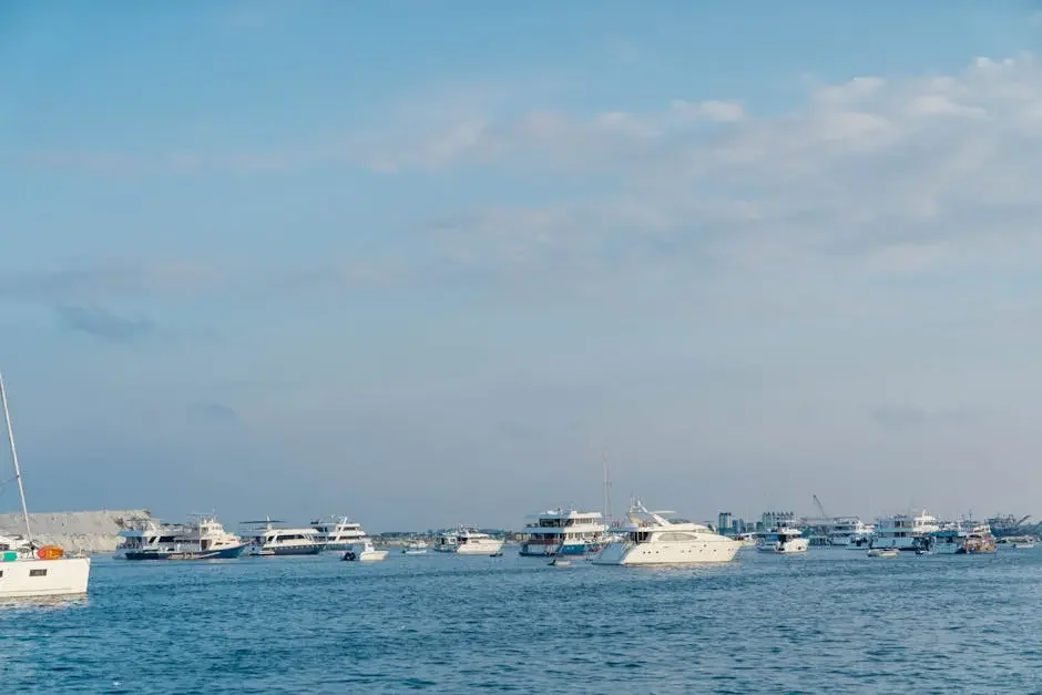 Why Anchorage Tours Create Unforgettable Memories