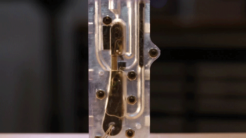 RHR-mold-gif.gif
